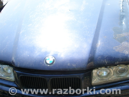 Решетка радиатора для BMW 3-Series (все года выпуска) Павлоград
