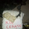 Бачок омывателя для KIA Cerato Киев