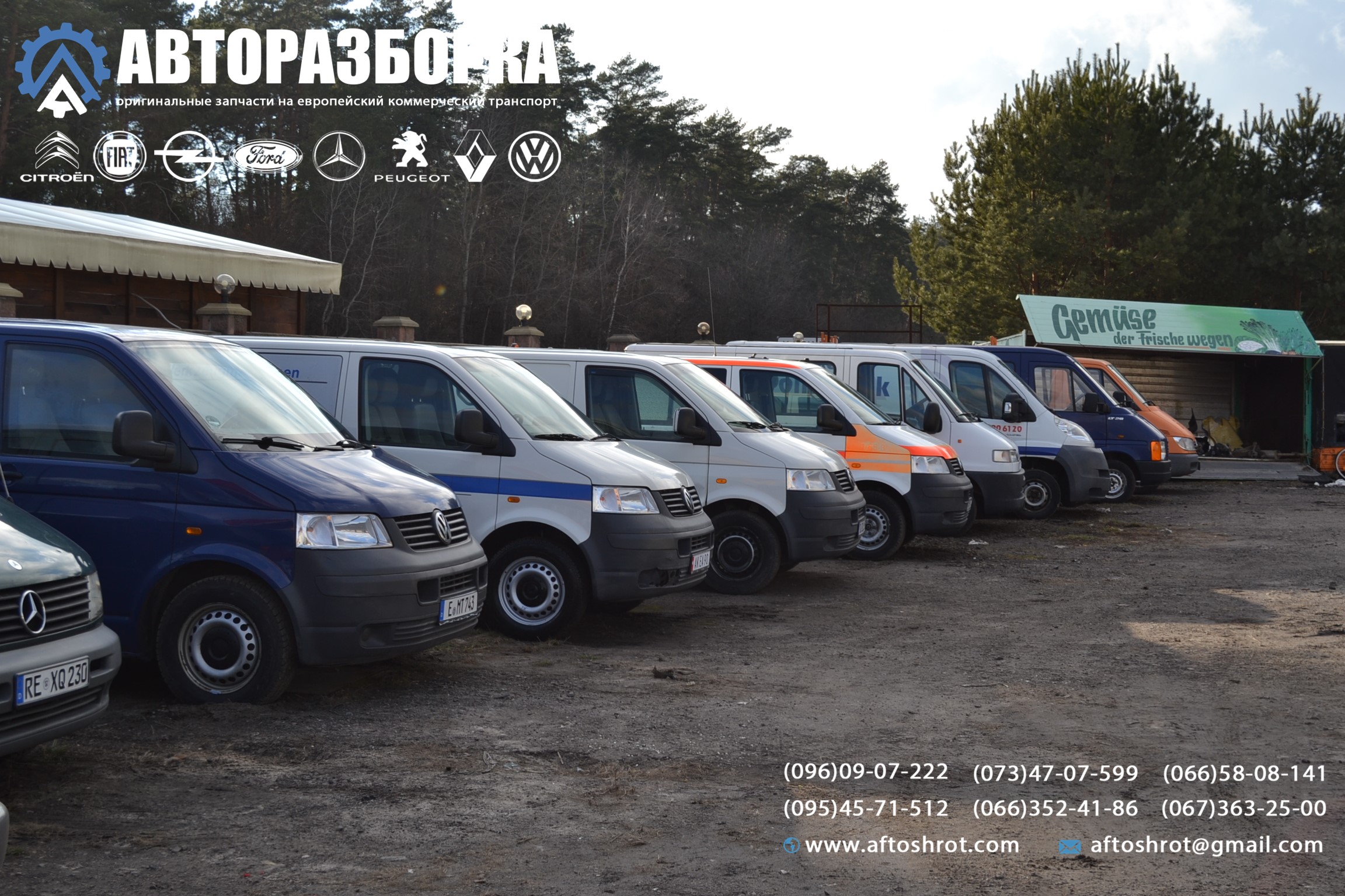 Watermarked dsc 2325