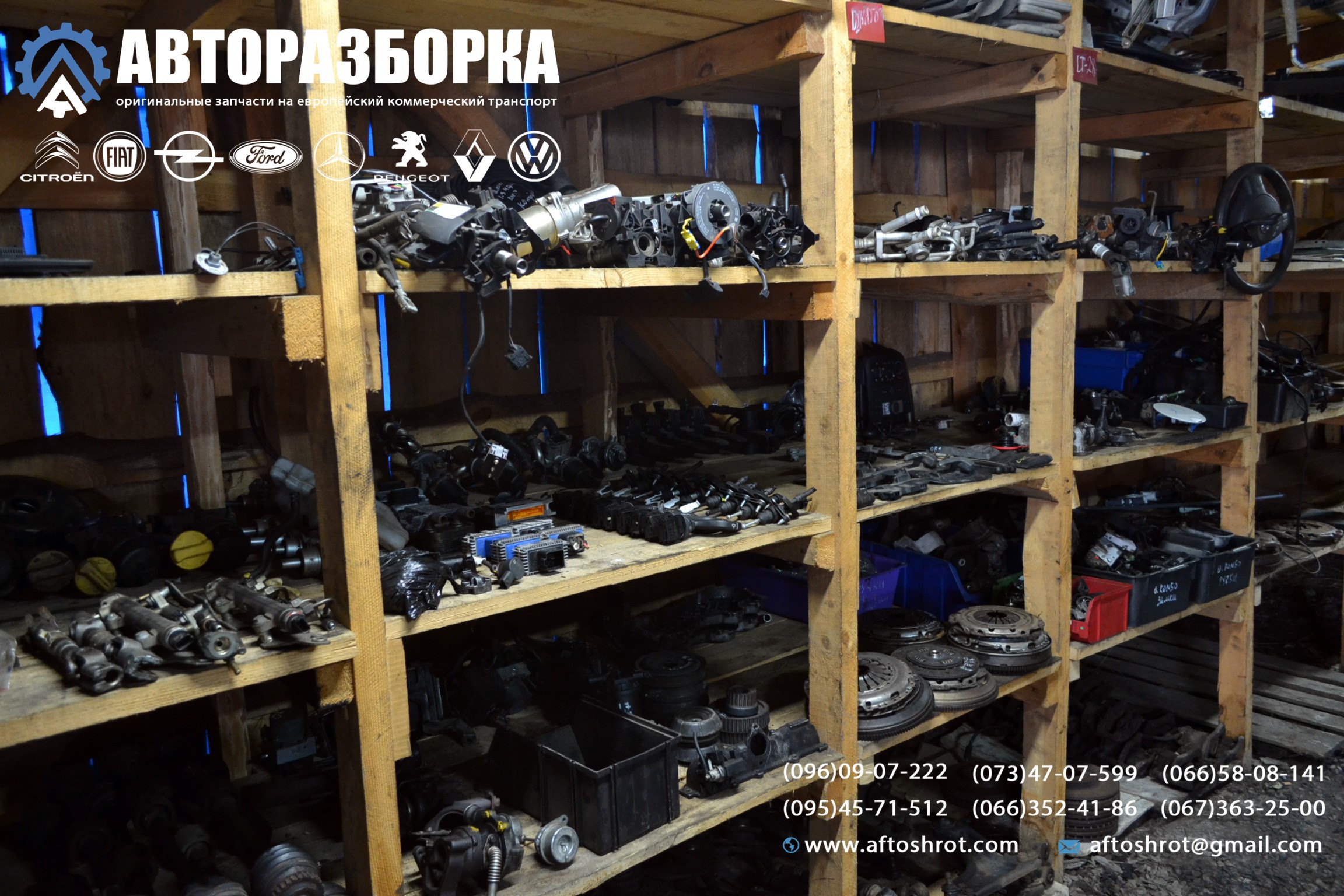 Watermarked 1 5