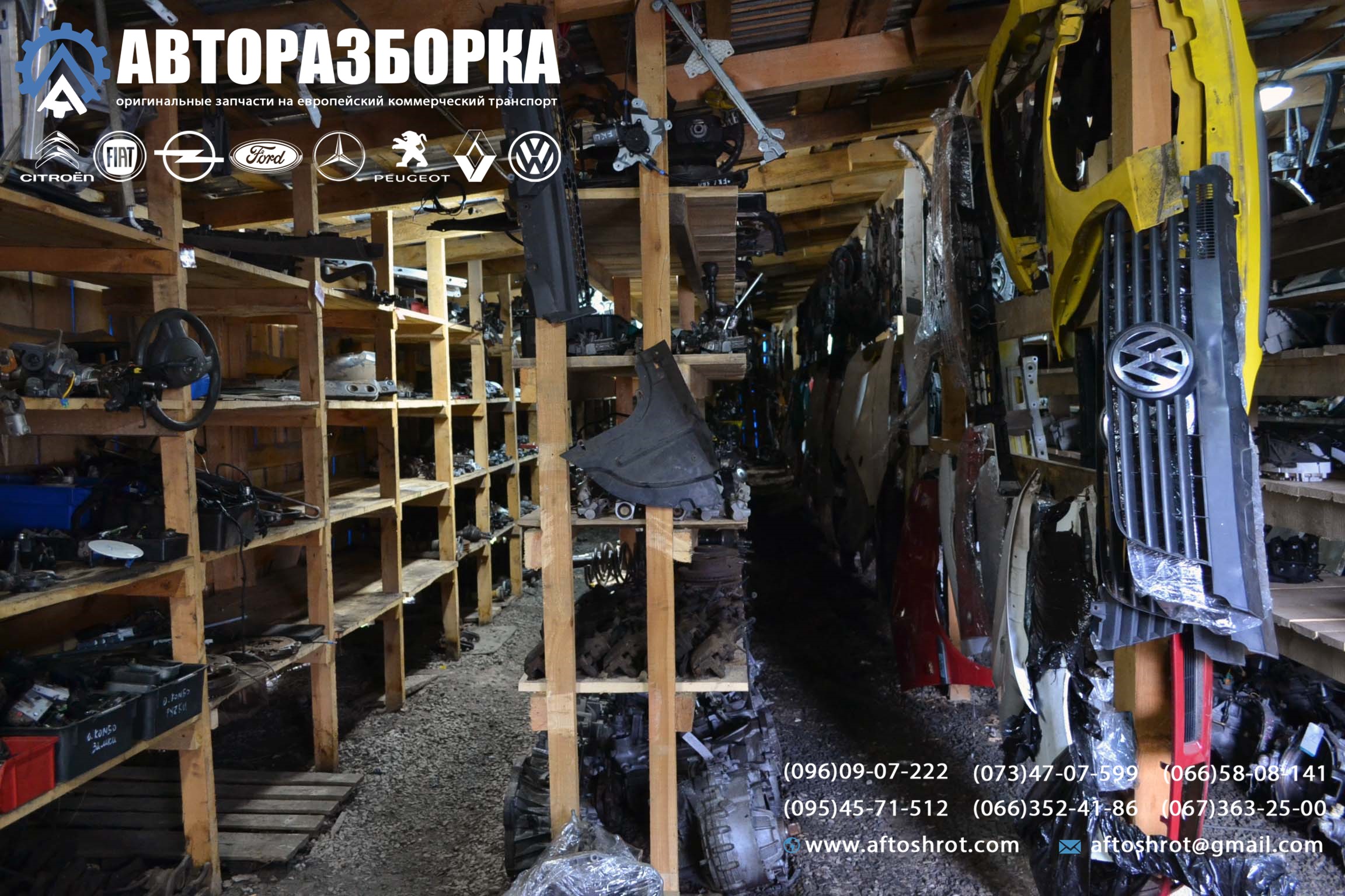 Watermarked 1 6