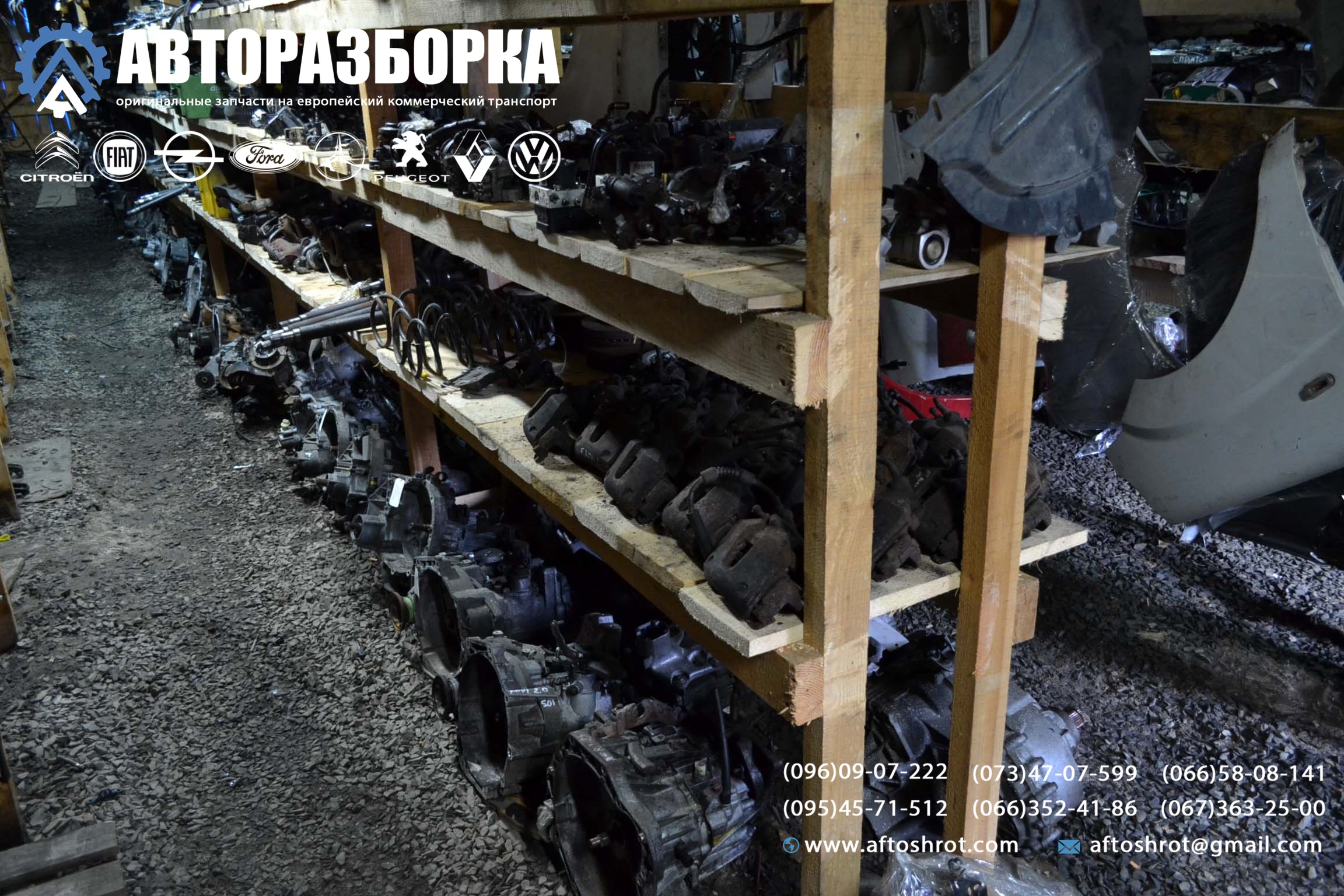 Watermarked 1 7