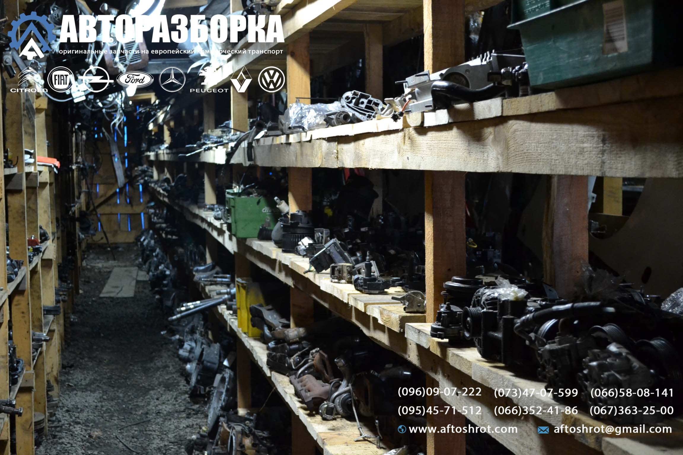 Watermarked 1 9