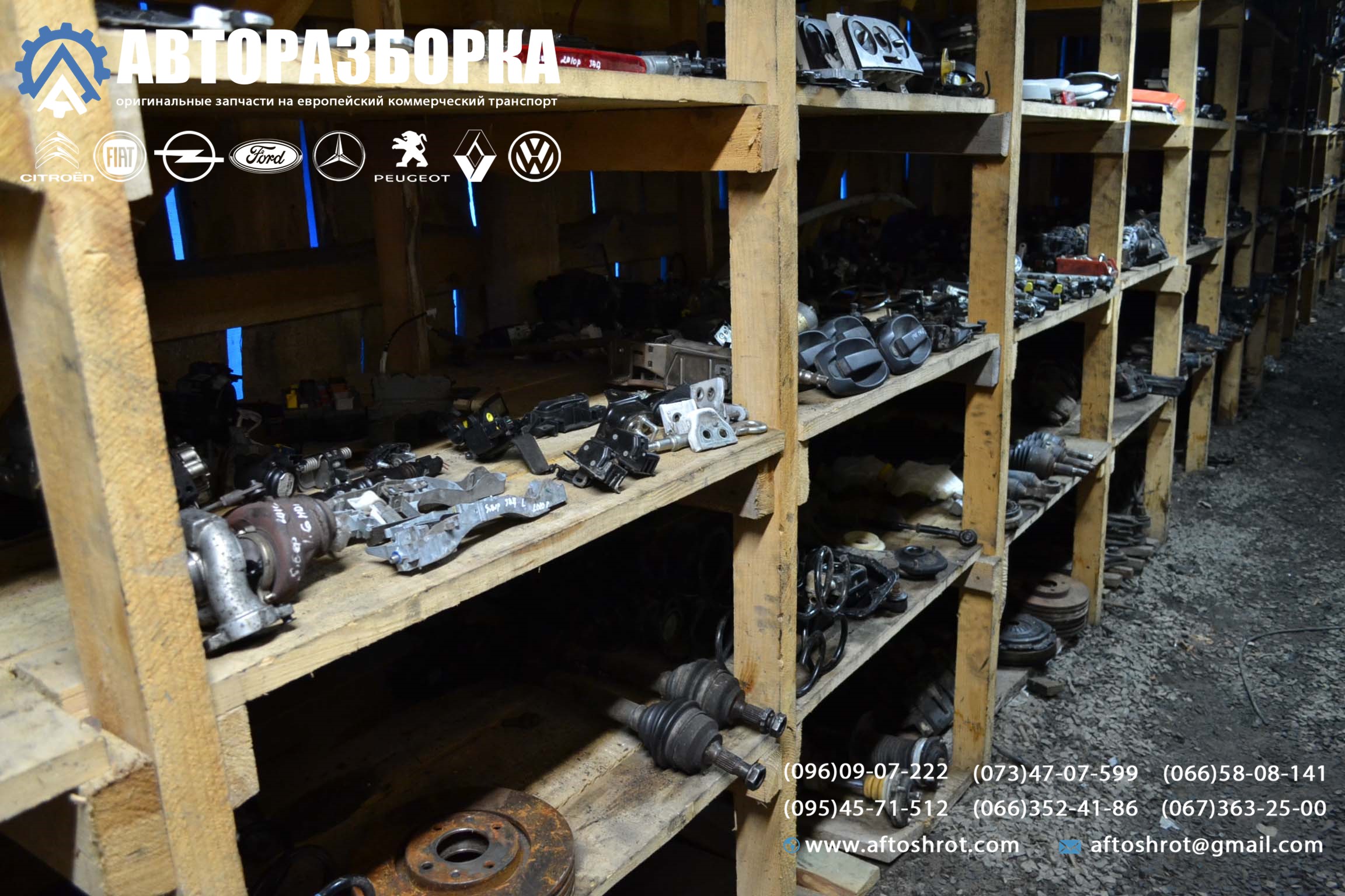 Watermarked 1 10