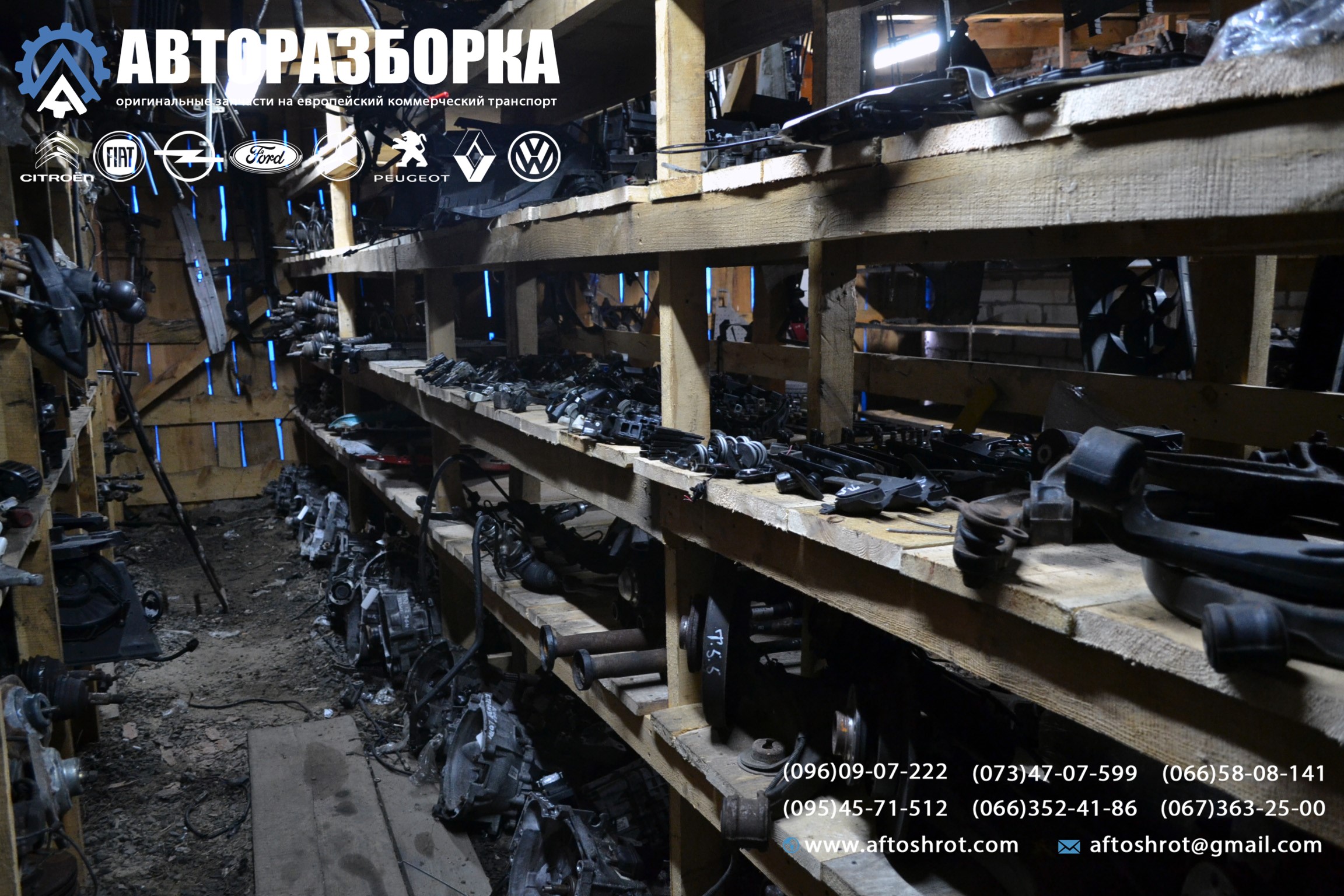 Watermarked 1 13