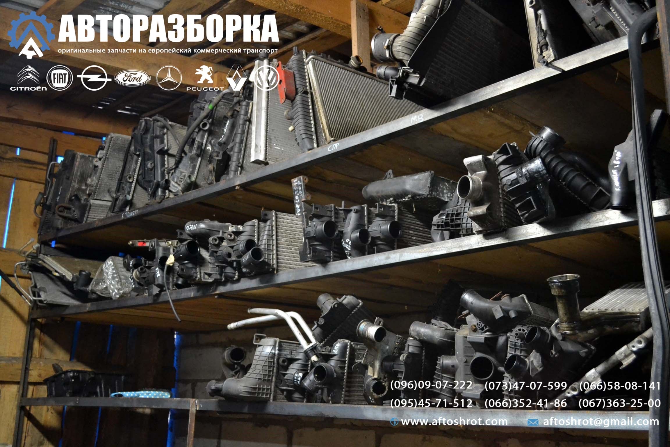 Watermarked 2 1