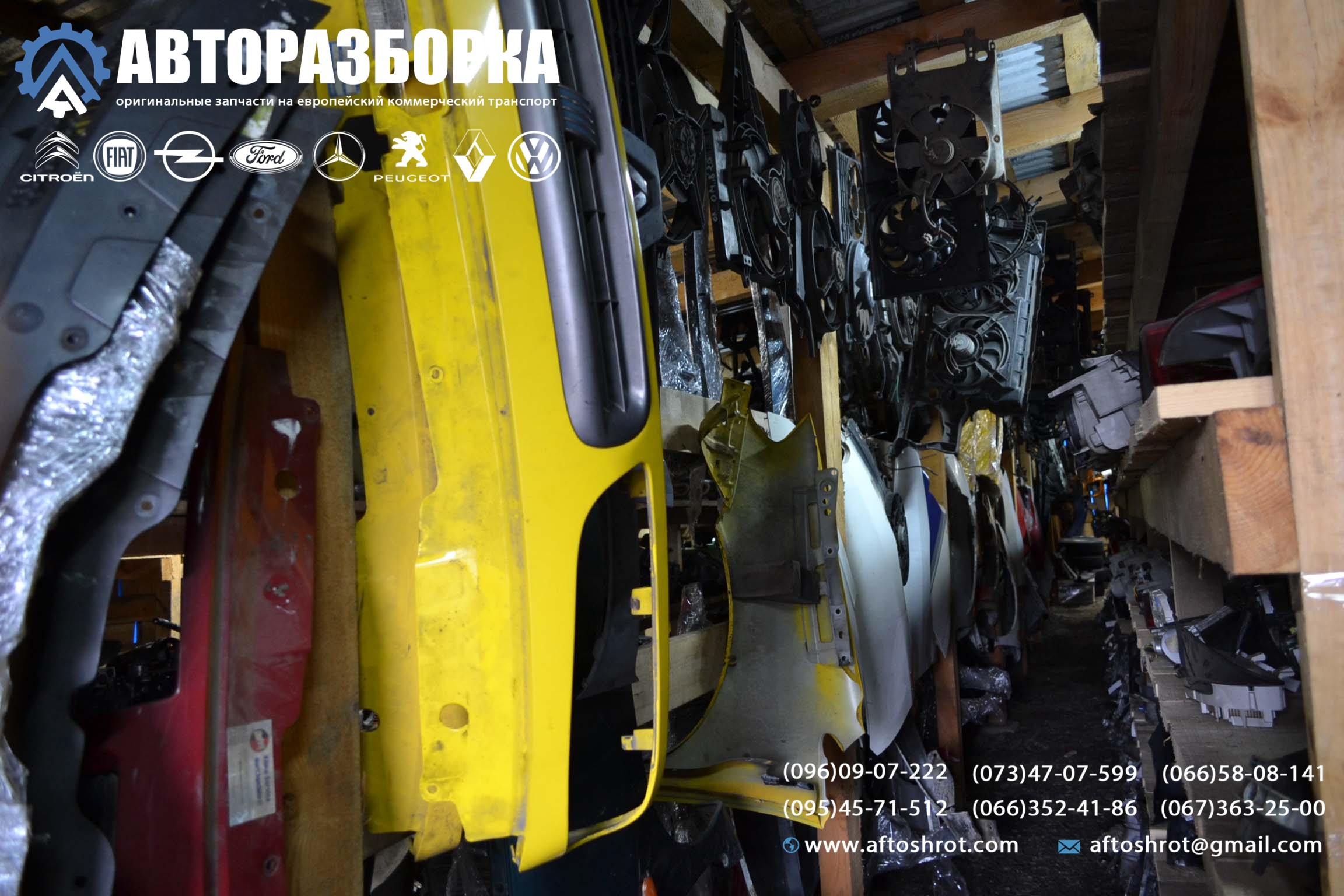 Watermarked 2 6
