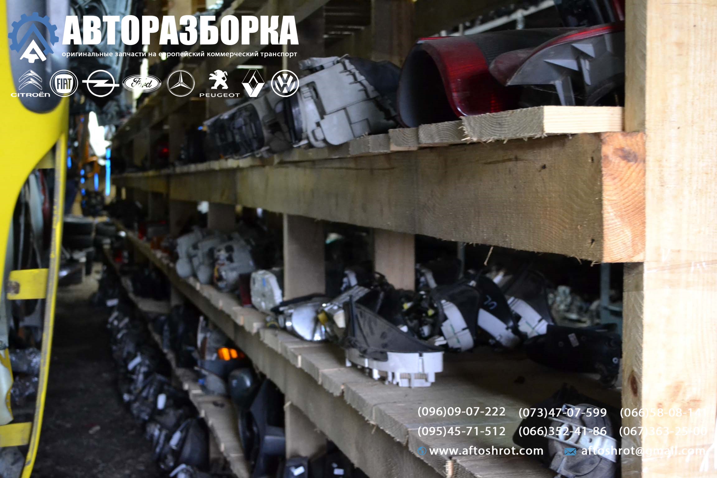 Watermarked 2 9