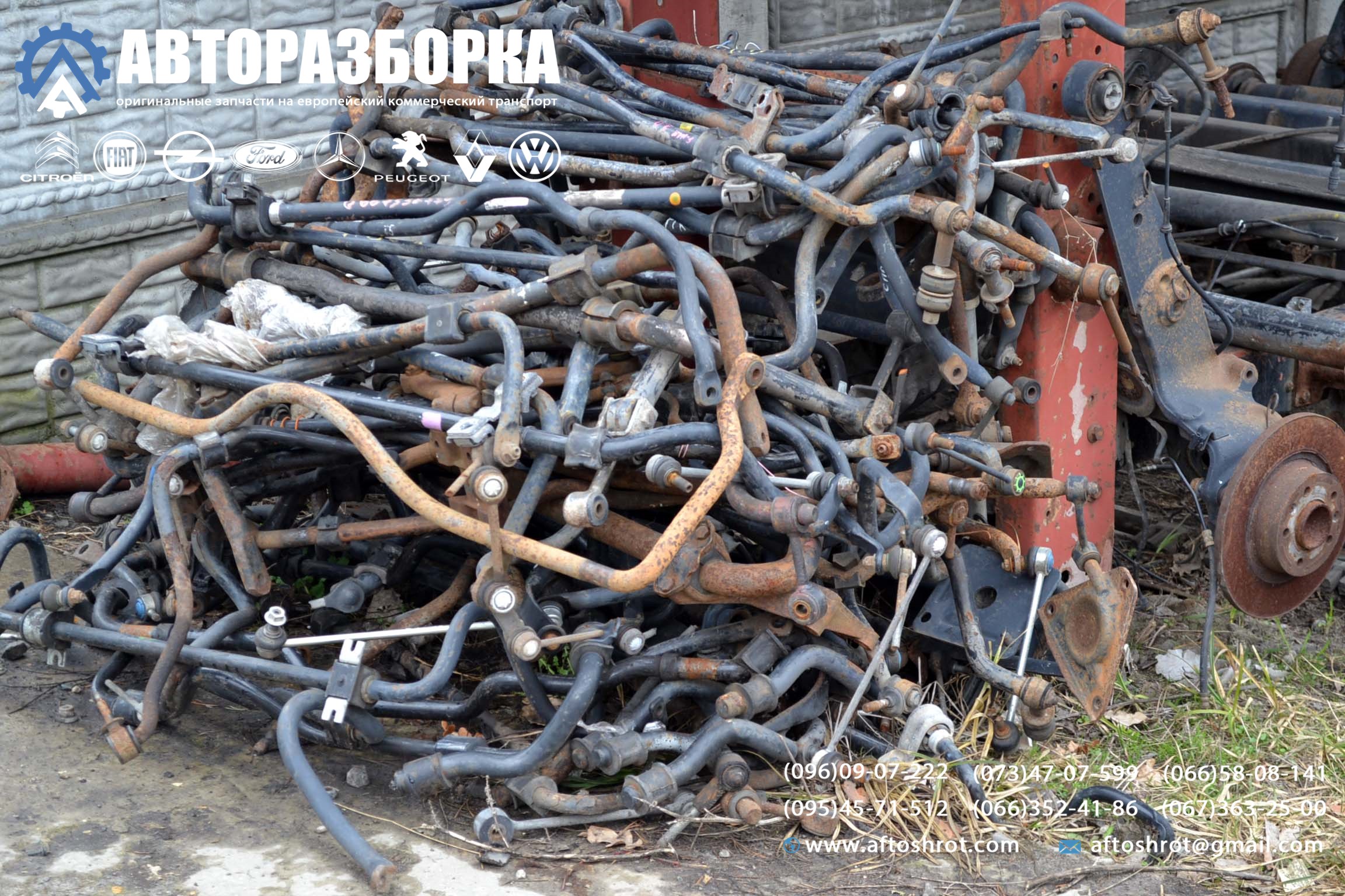 Watermarked 3 1