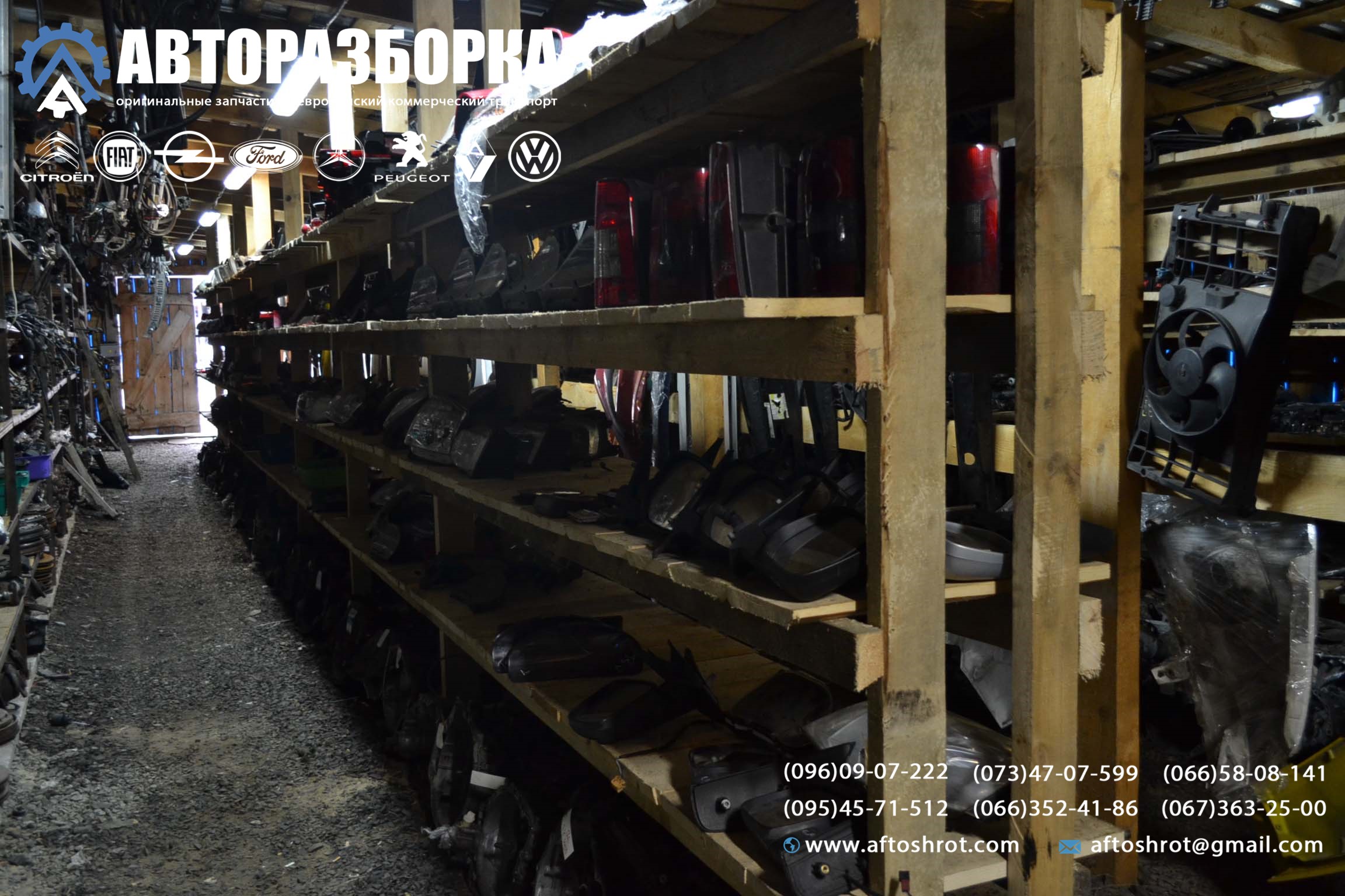 Watermarked 3 5