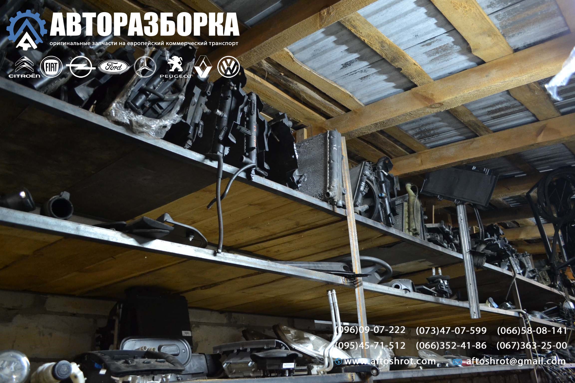 Watermarked 3 7