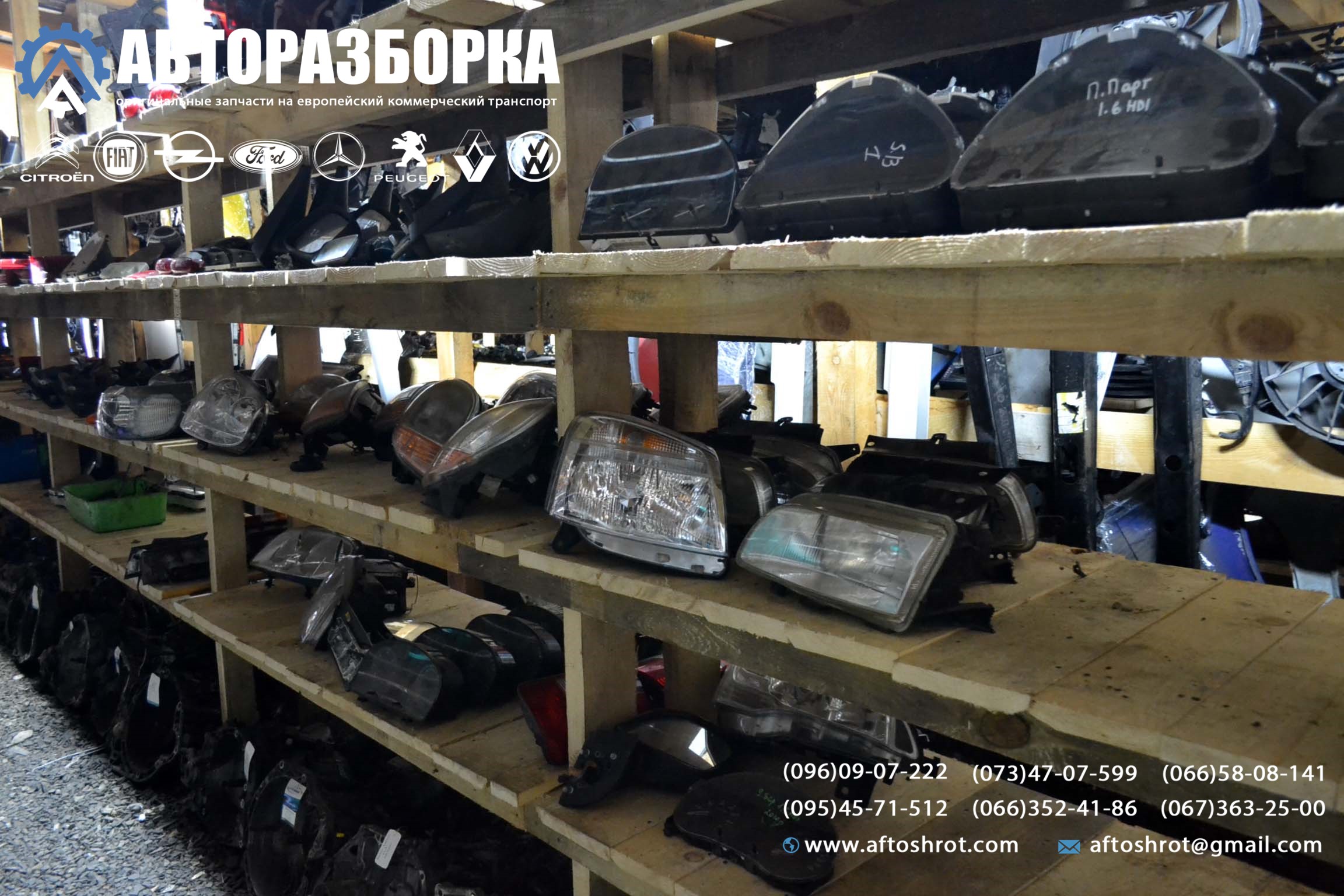 Watermarked 3 8