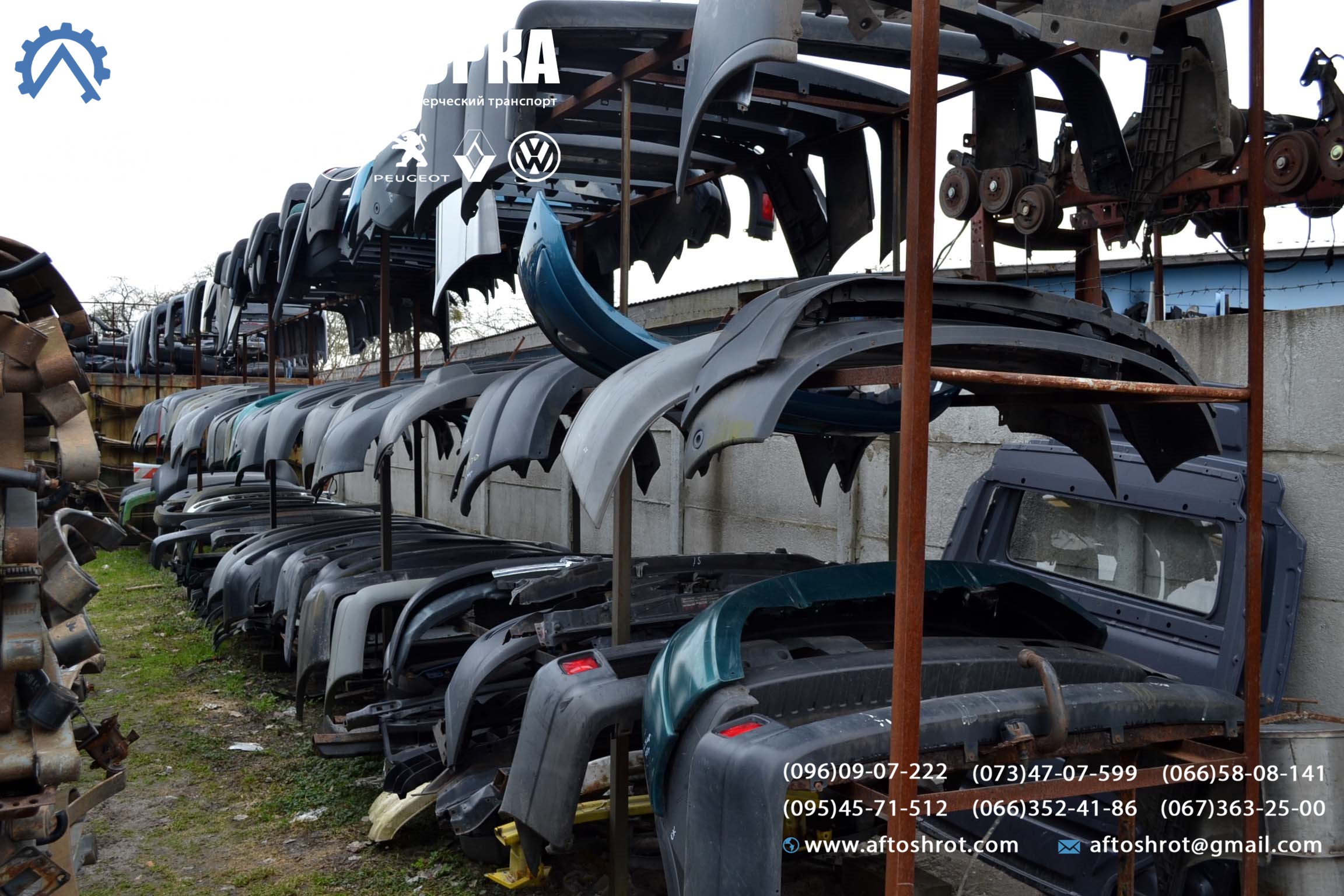 Watermarked 4 6