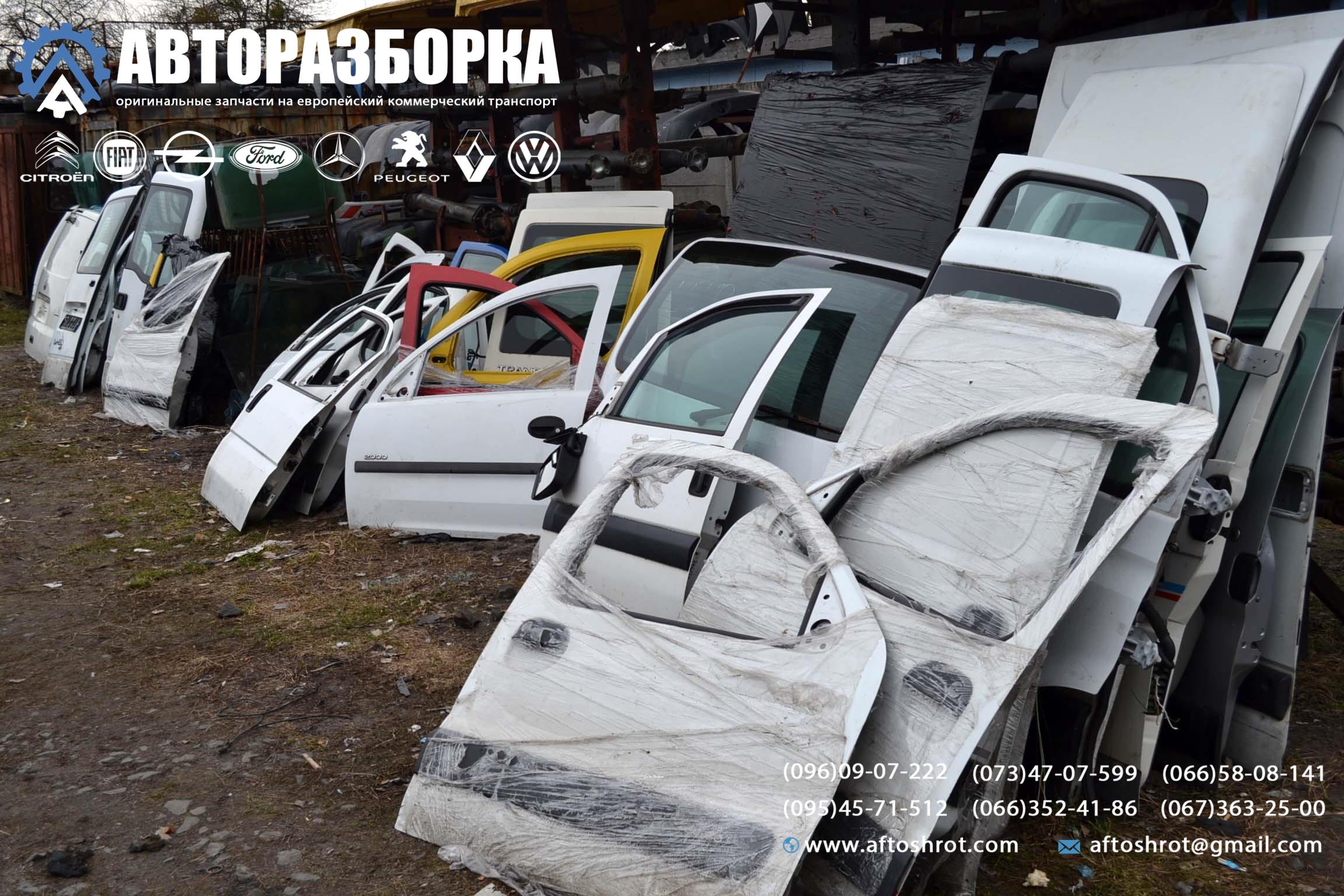 Watermarked 4 12