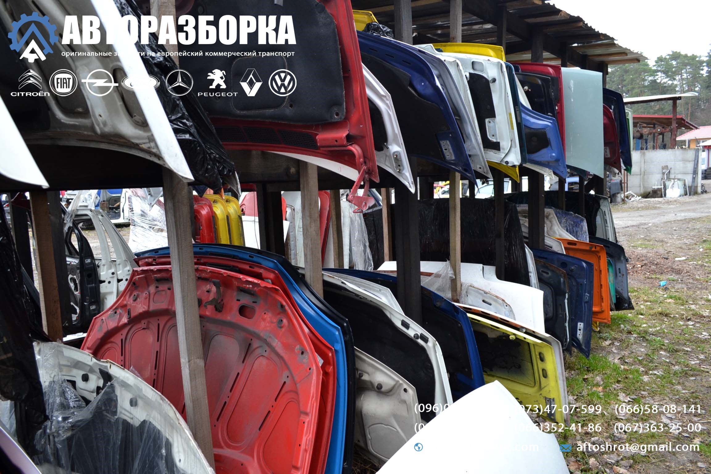 Watermarked 4 17