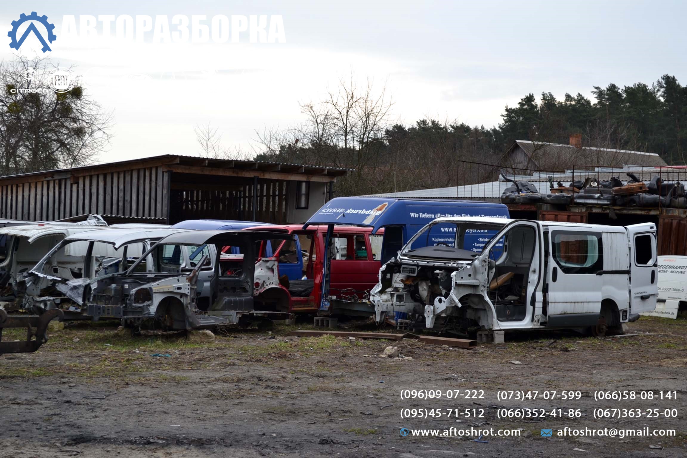 Watermarked 5 1