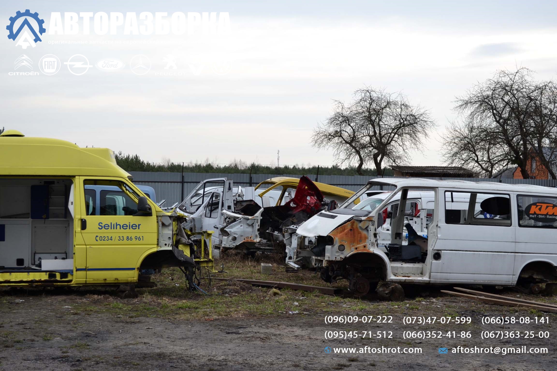 Watermarked 5 2