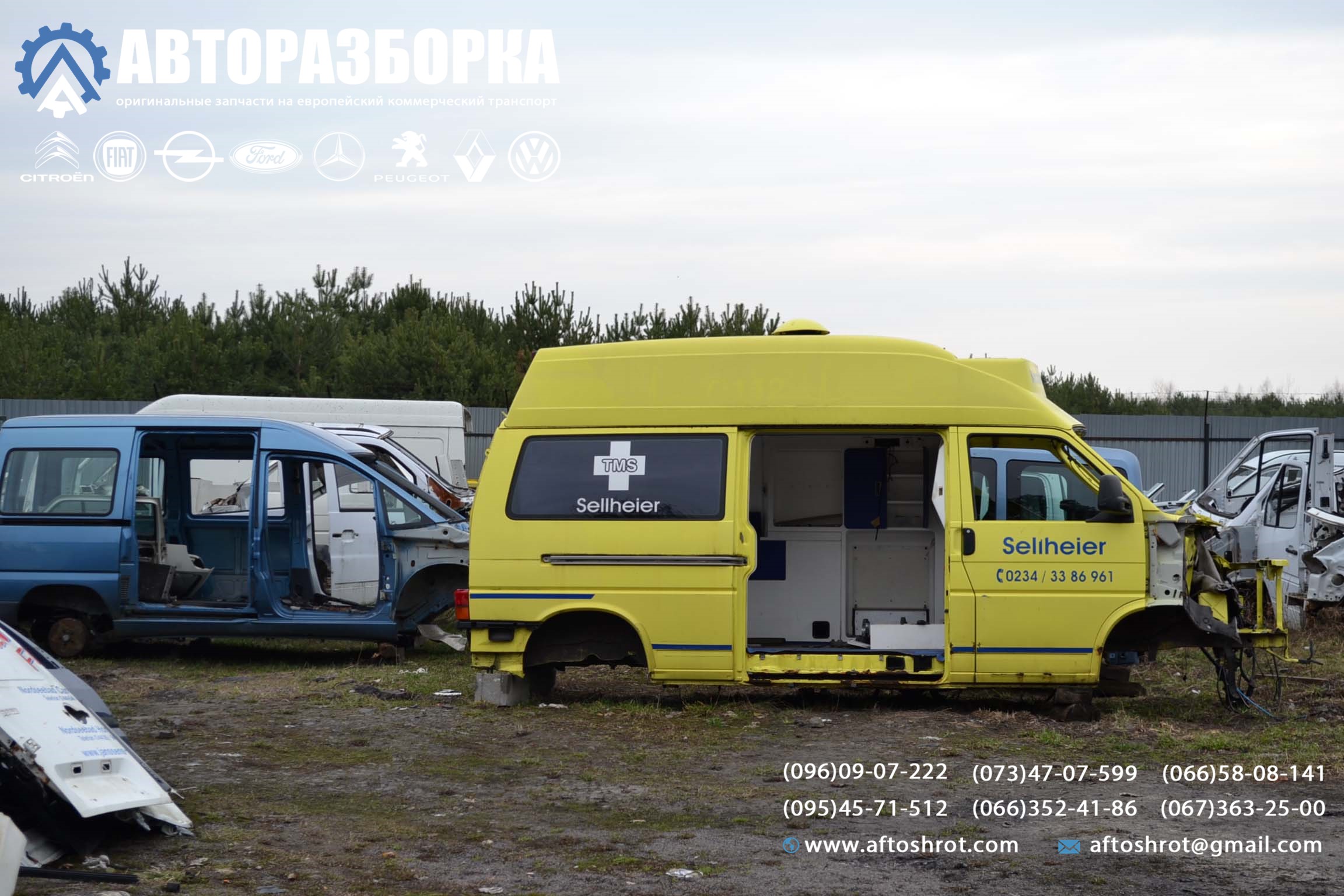 Watermarked 5 3