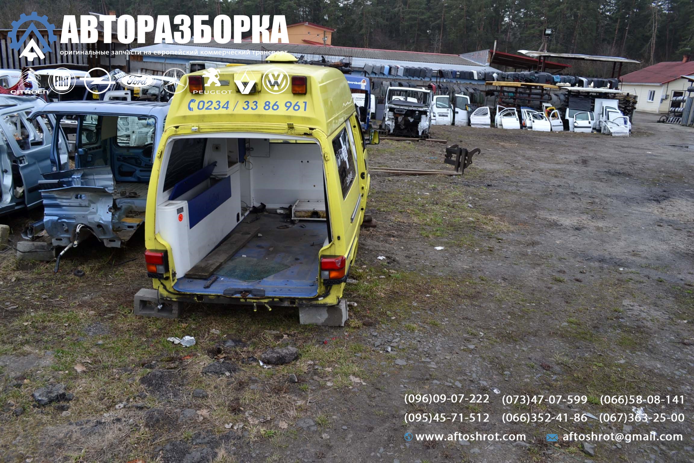 Watermarked 5 6