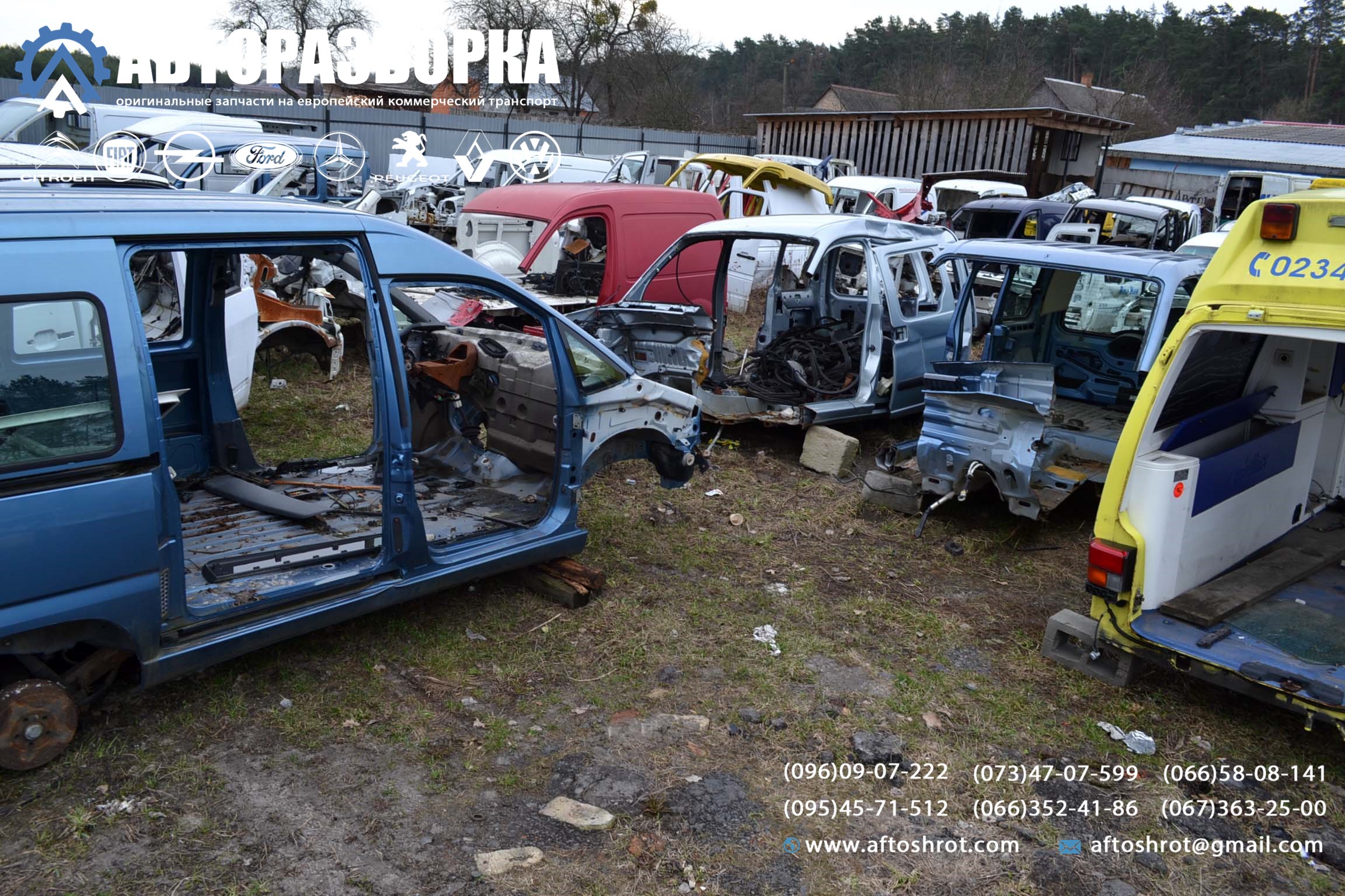 Watermarked 5 7