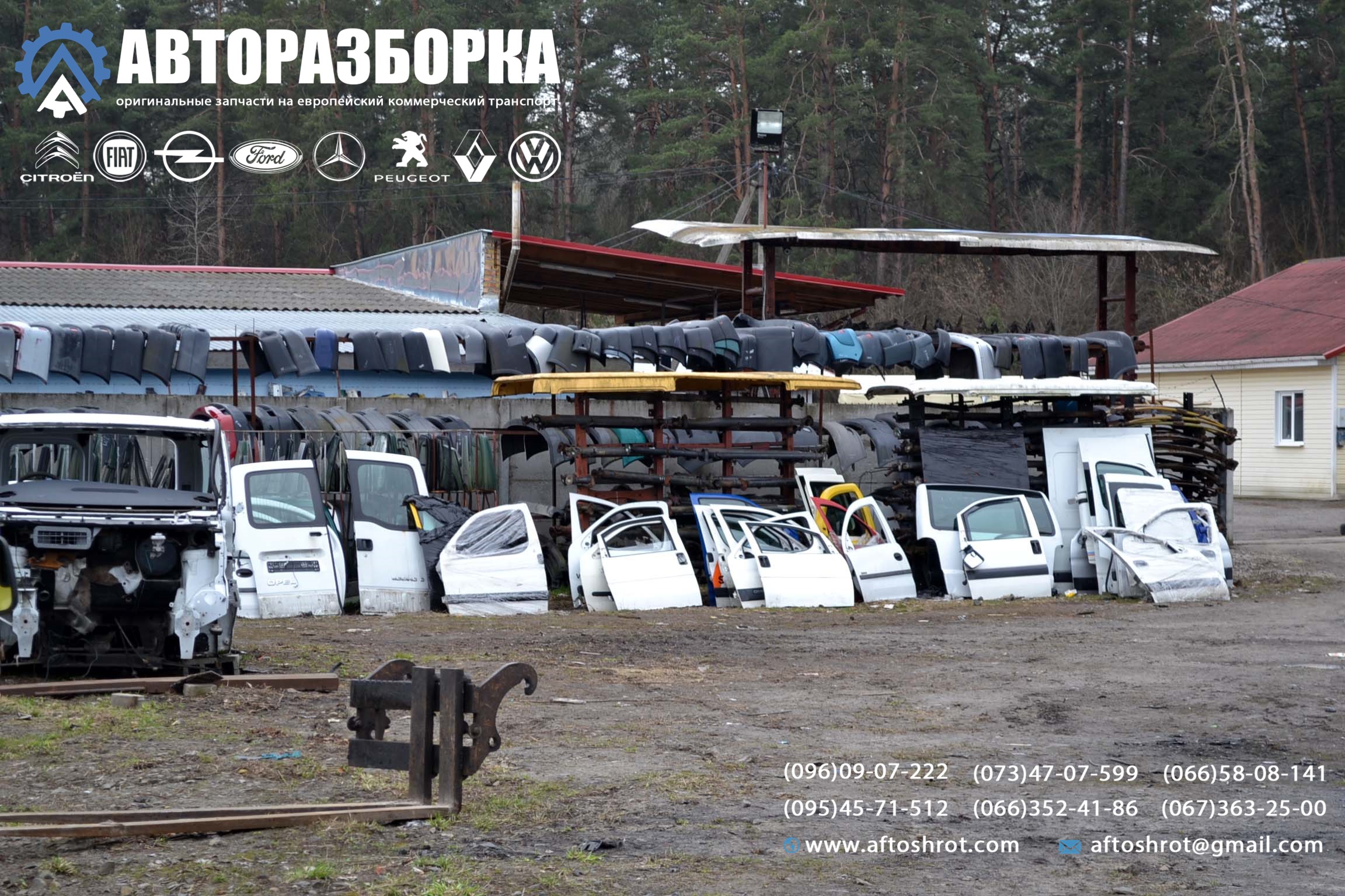 Watermarked 5 9