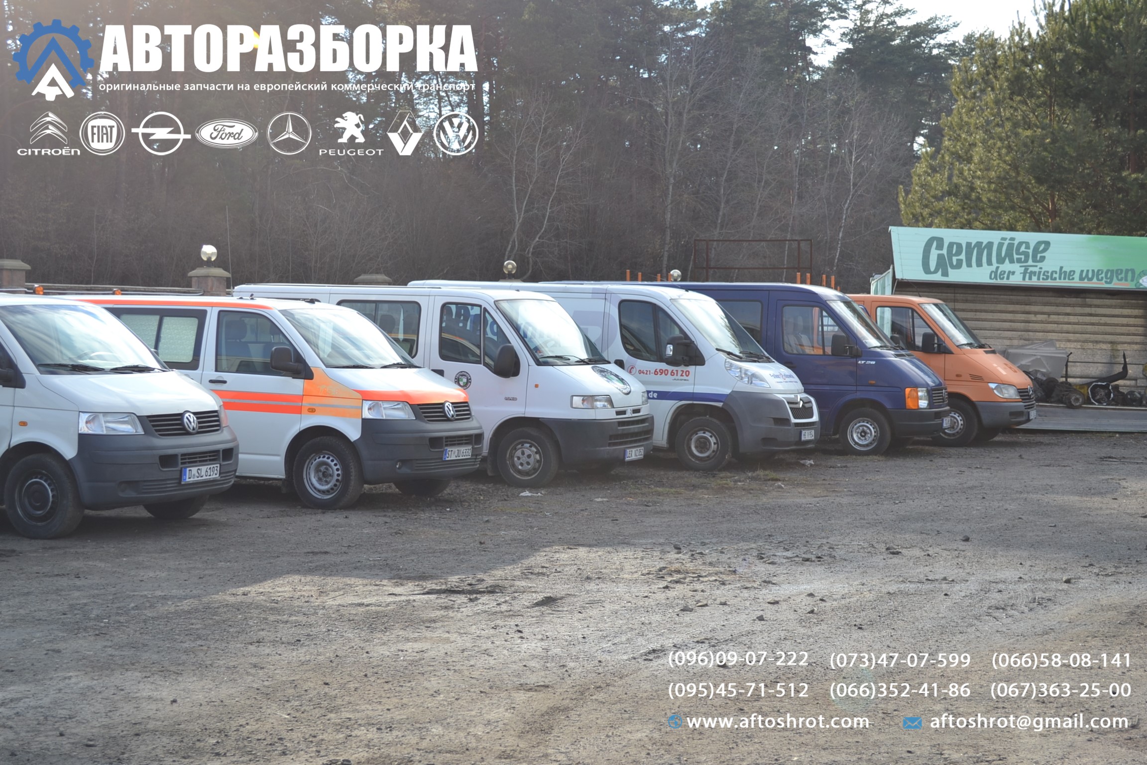 Watermarked dsc 2323