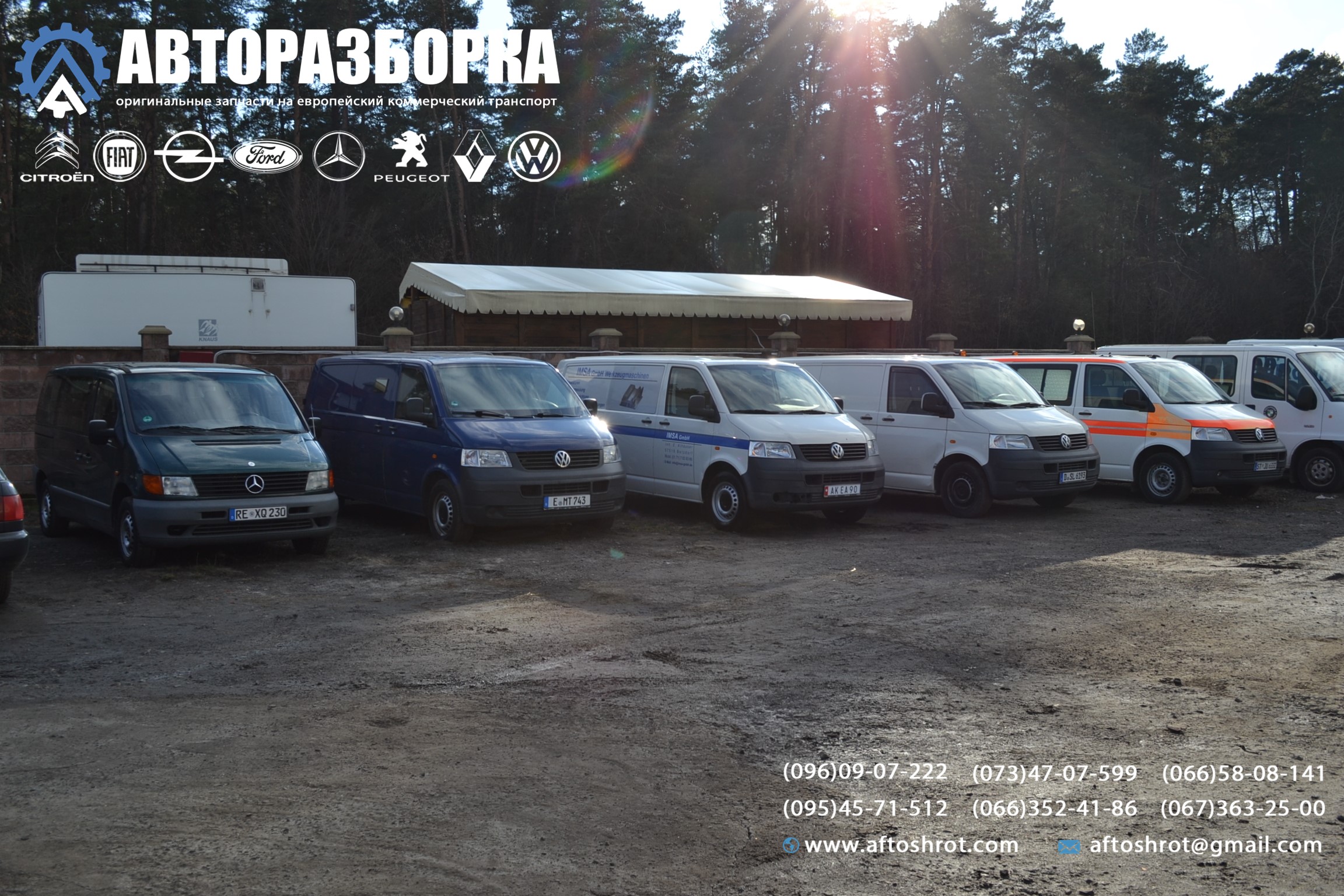 Watermarked dsc 2324