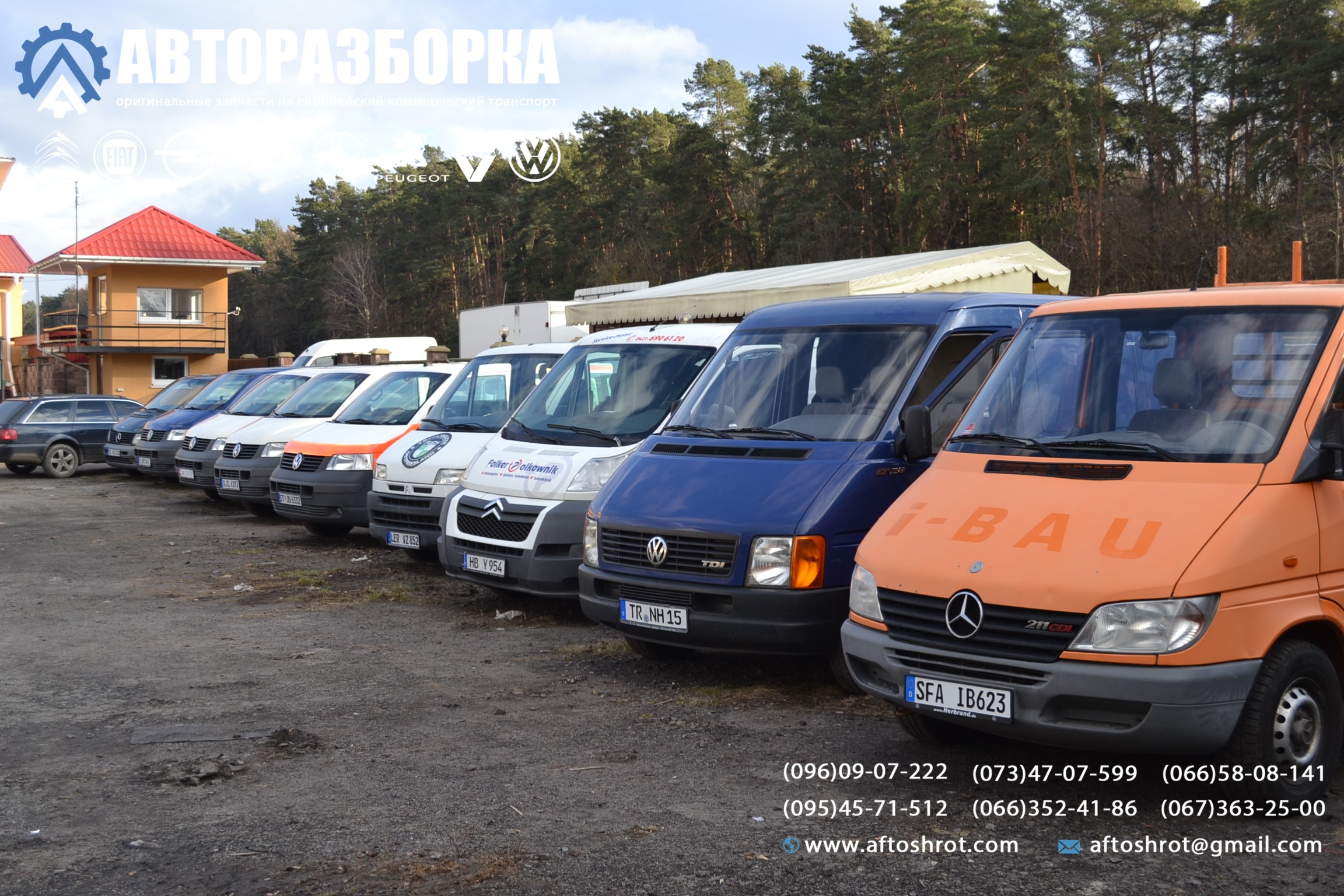 Watermarked dsc 2326