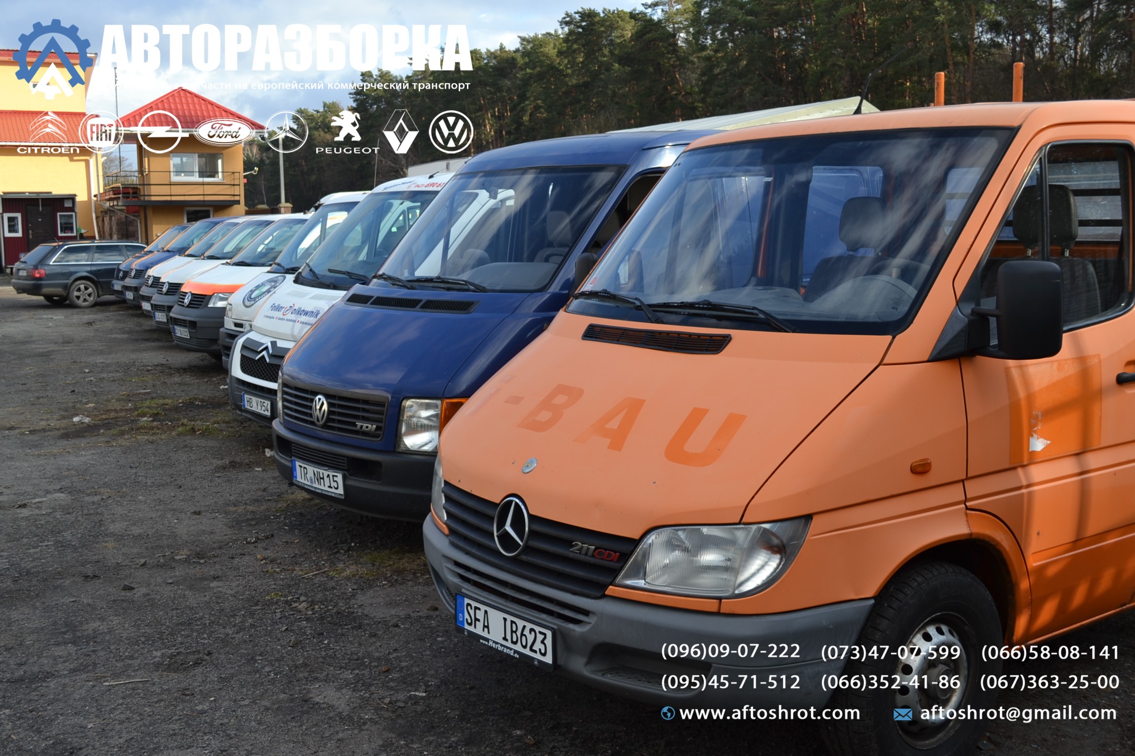 Watermarked dsc 2327
