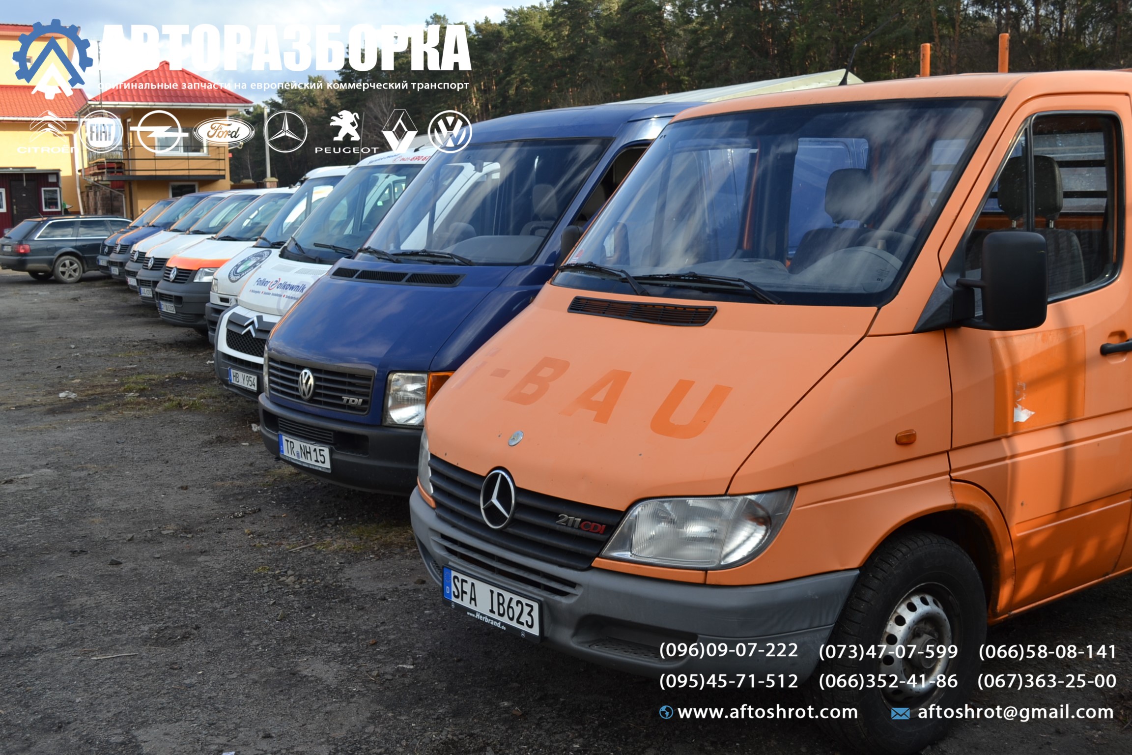 Watermarked dsc 2328
