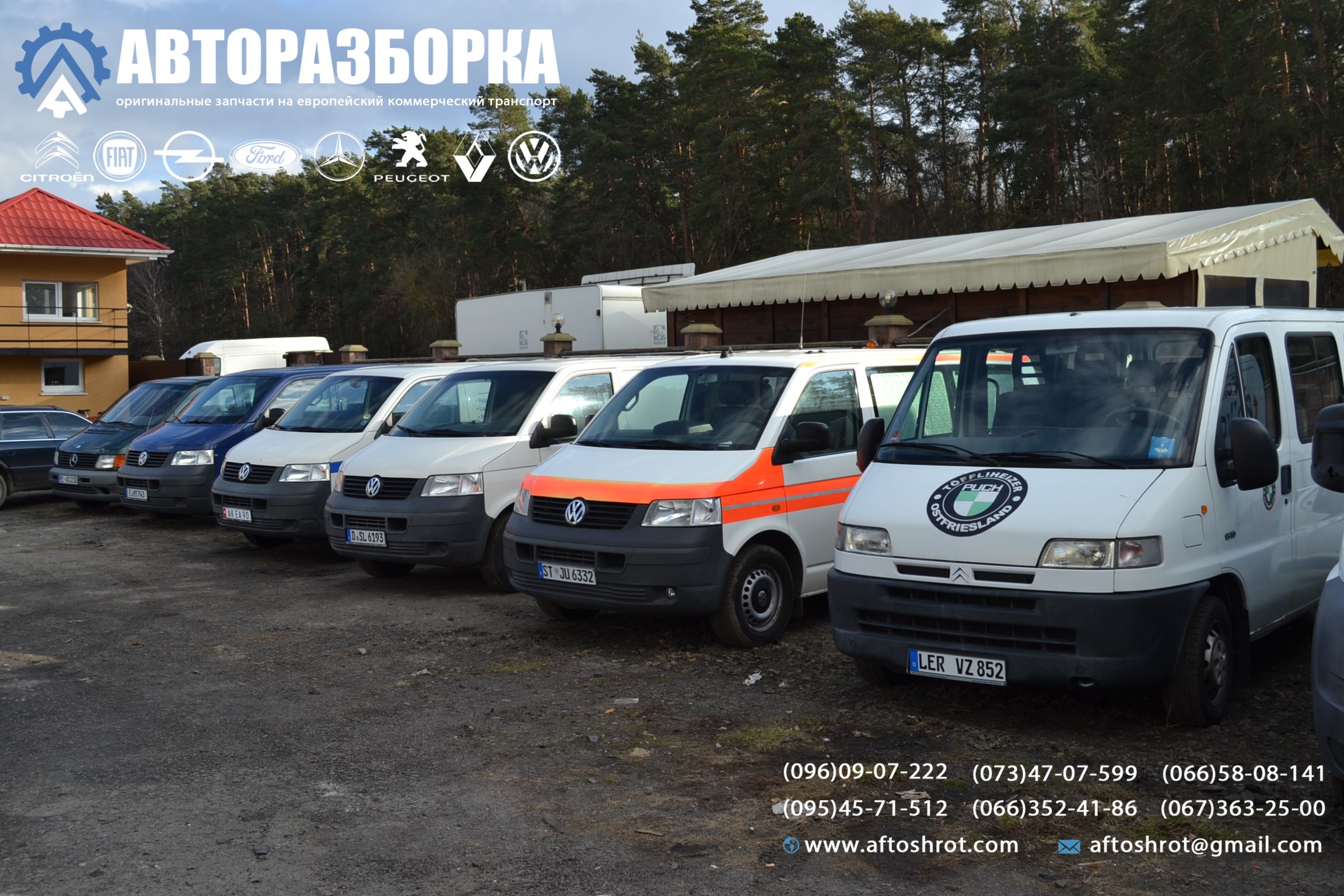 Watermarked dsc 2329