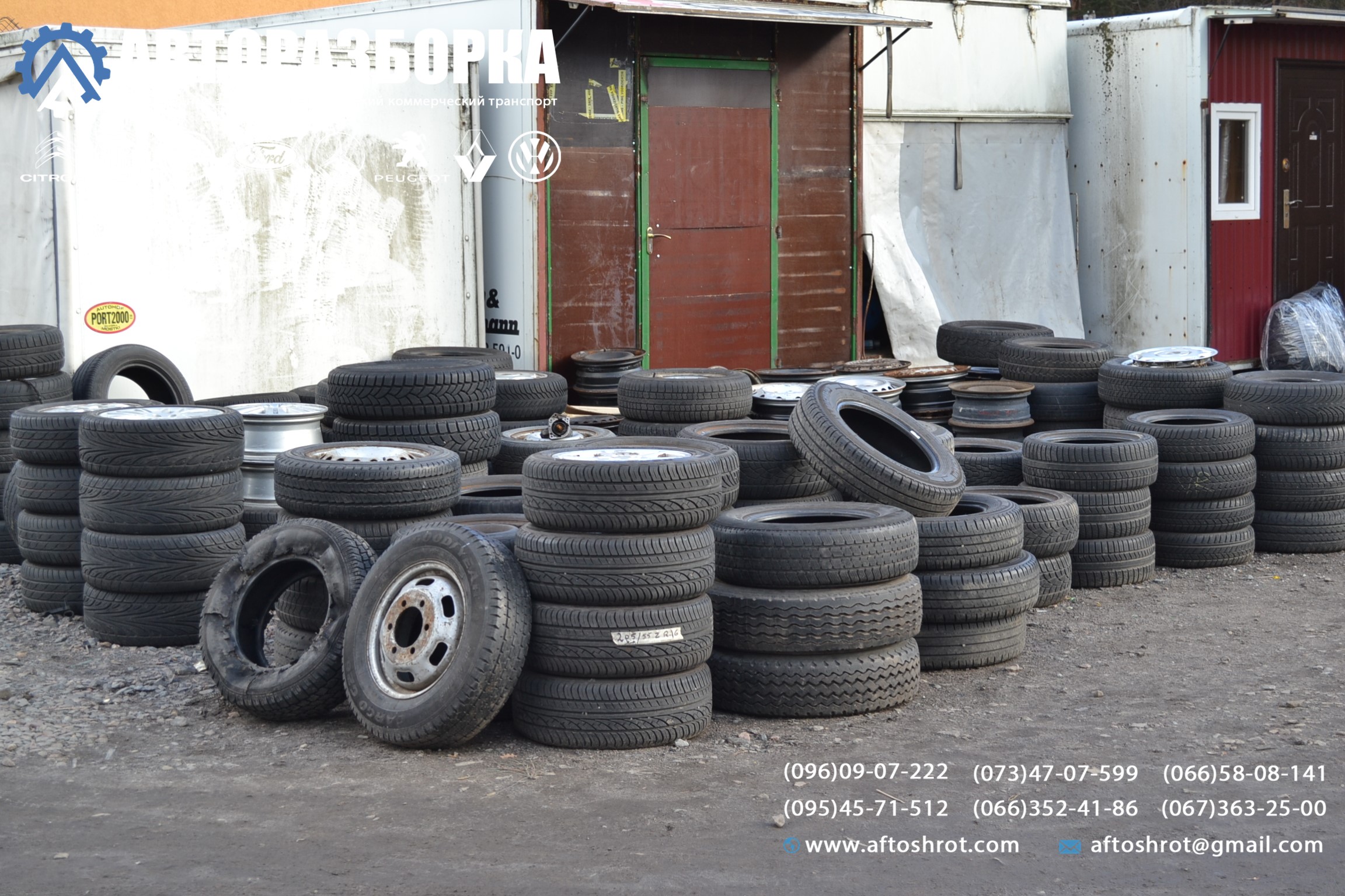 Watermarked dsc 2331