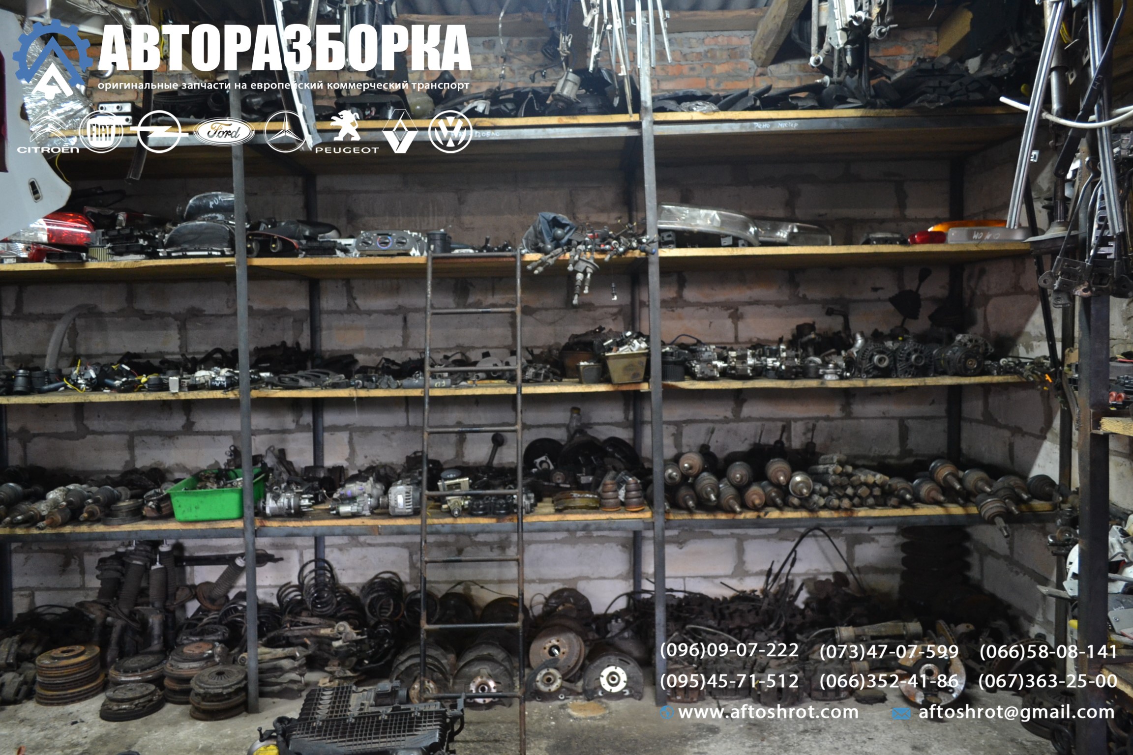 Watermarked 1 1
