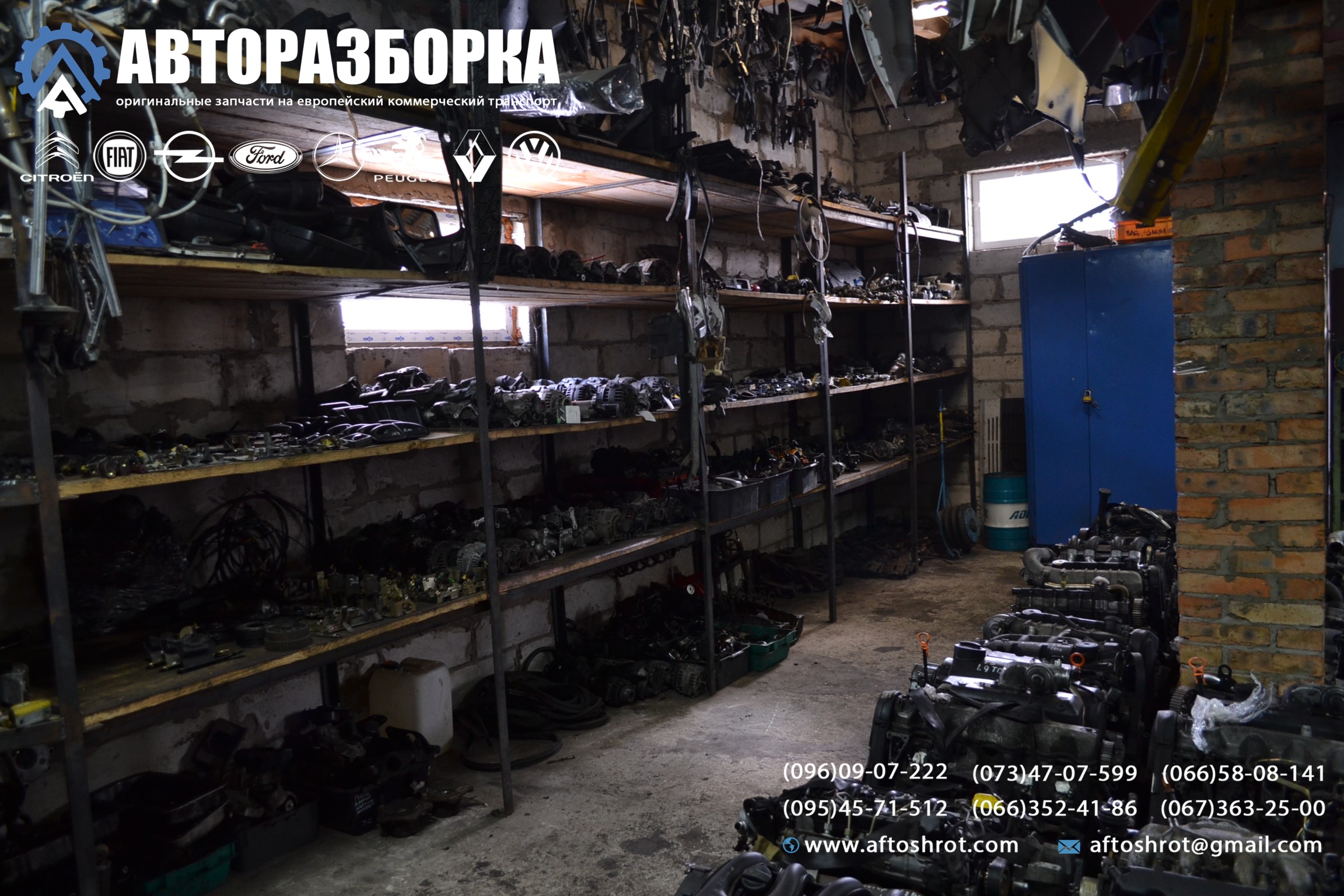 Watermarked 1 3