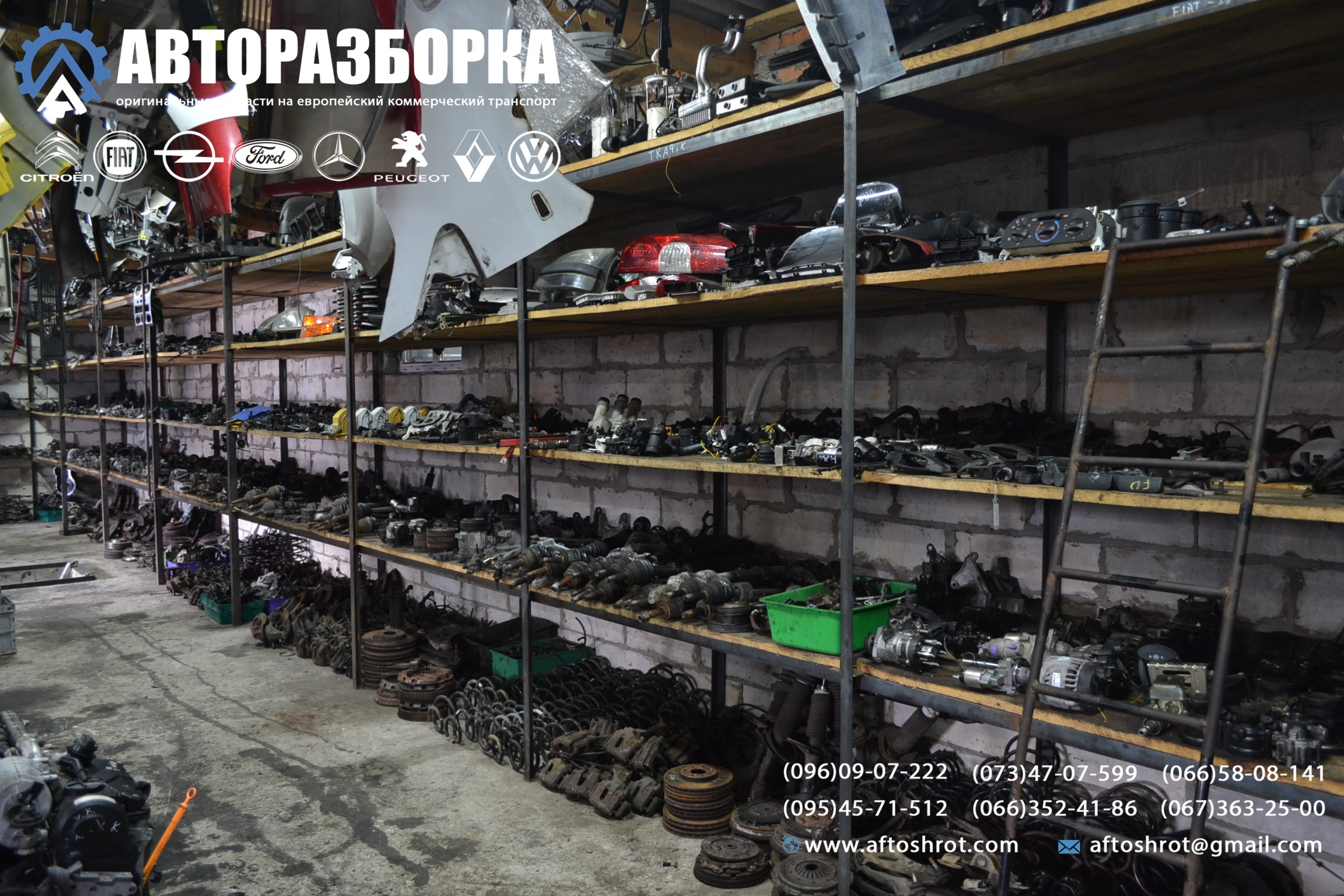 Watermarked 1 2