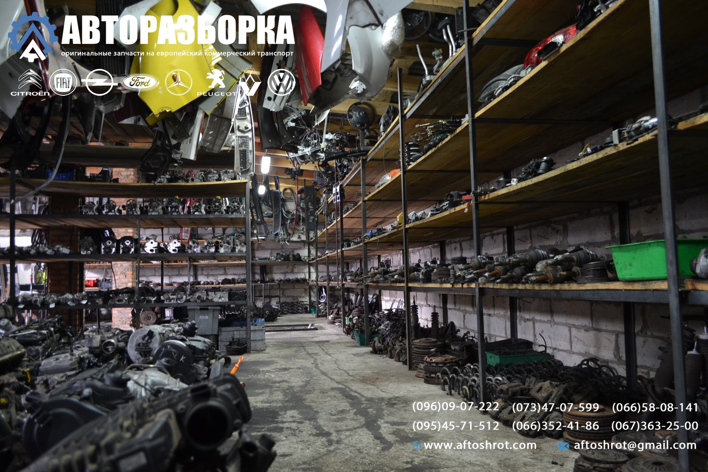 Watermarked 1 4