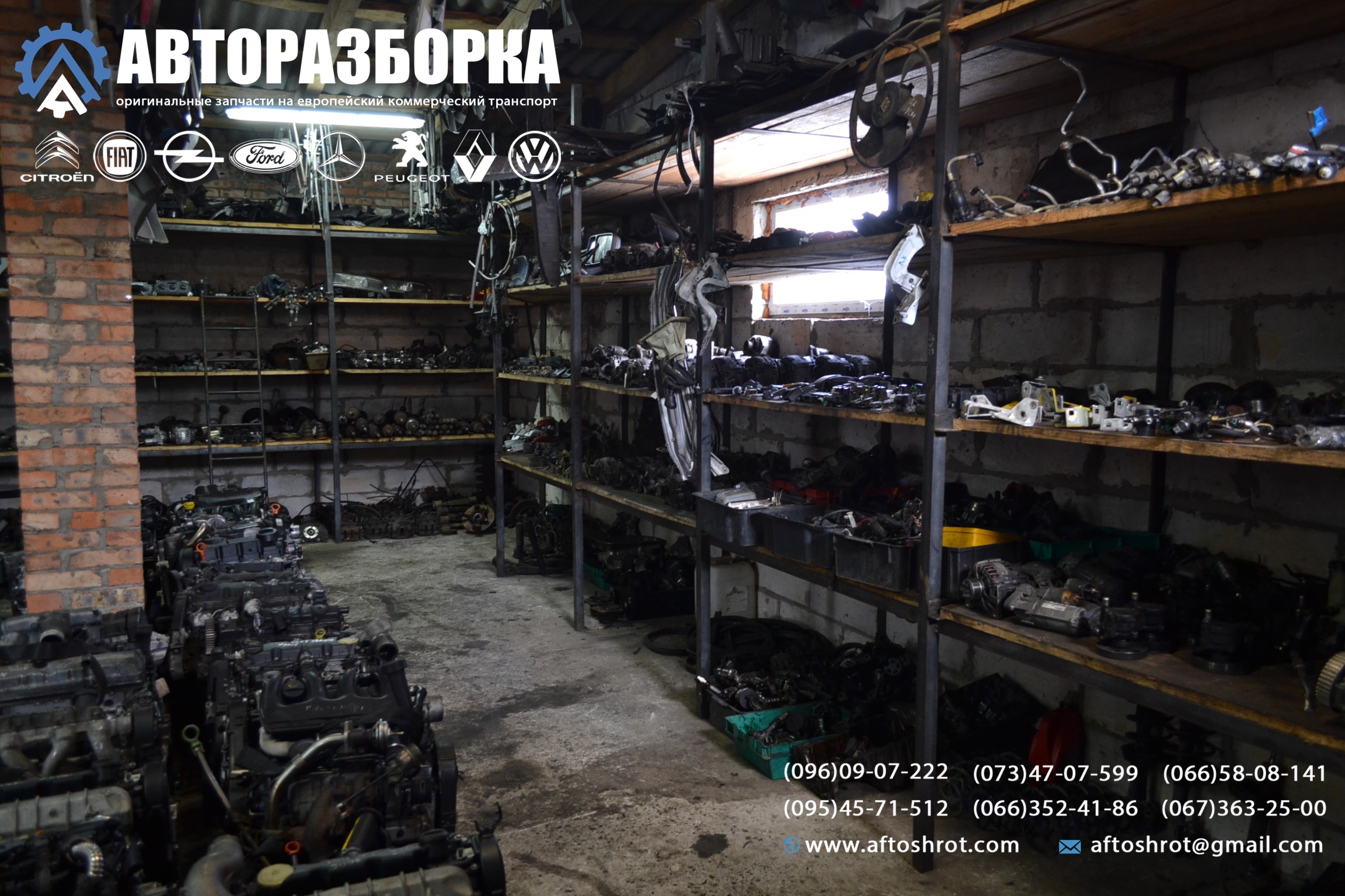 Watermarked 1 5