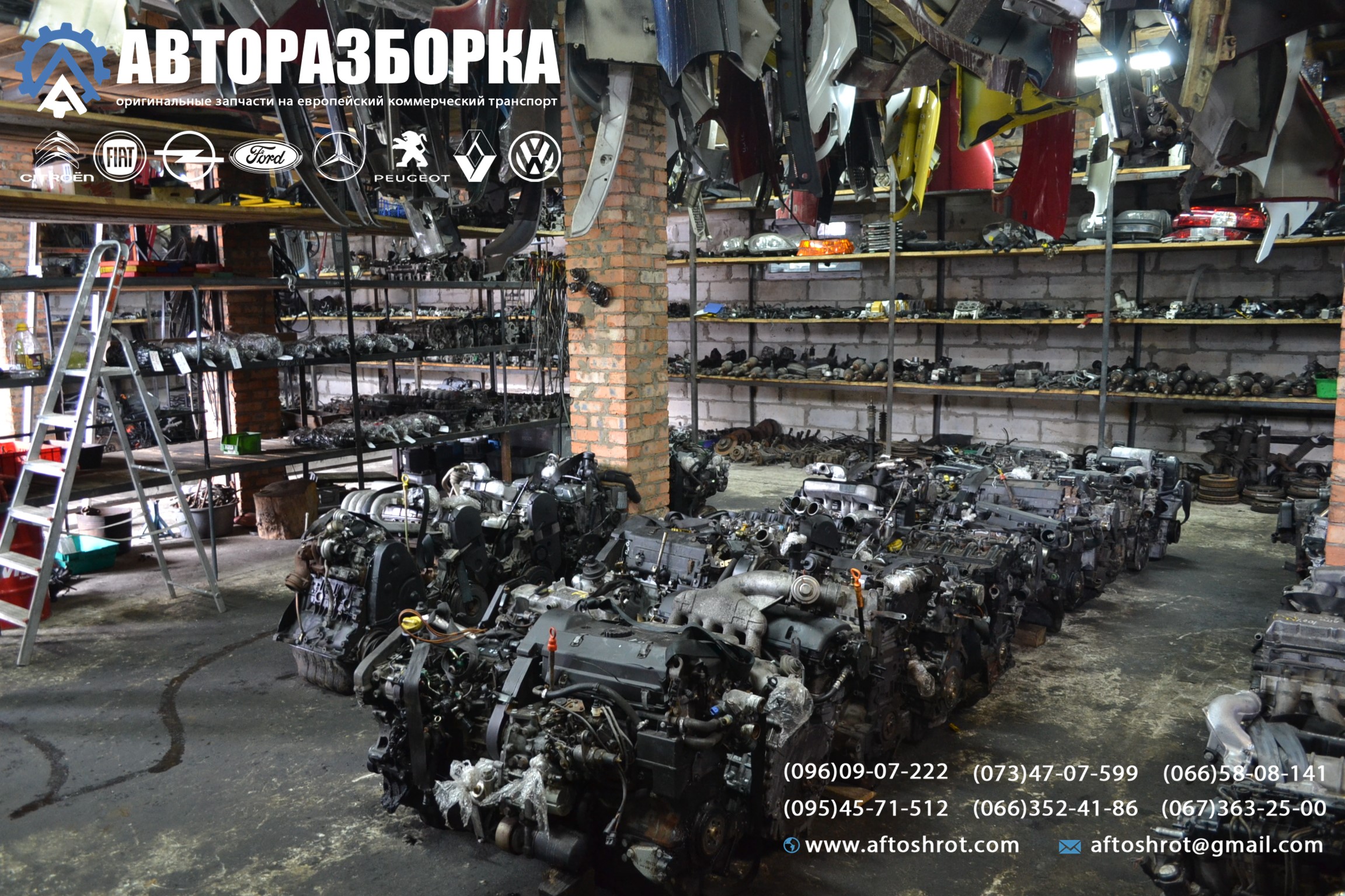 Watermarked 1 6