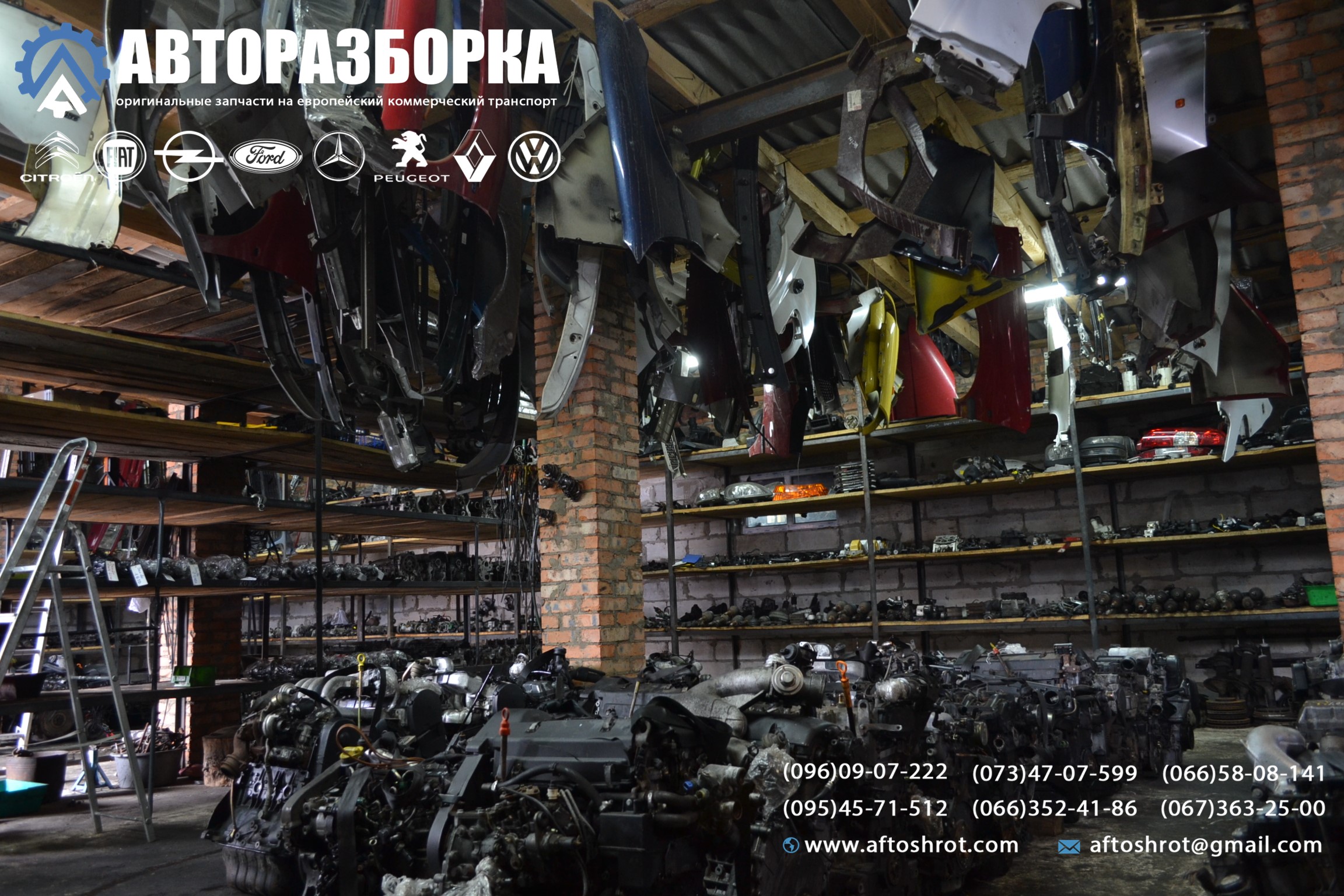 Watermarked 1 7