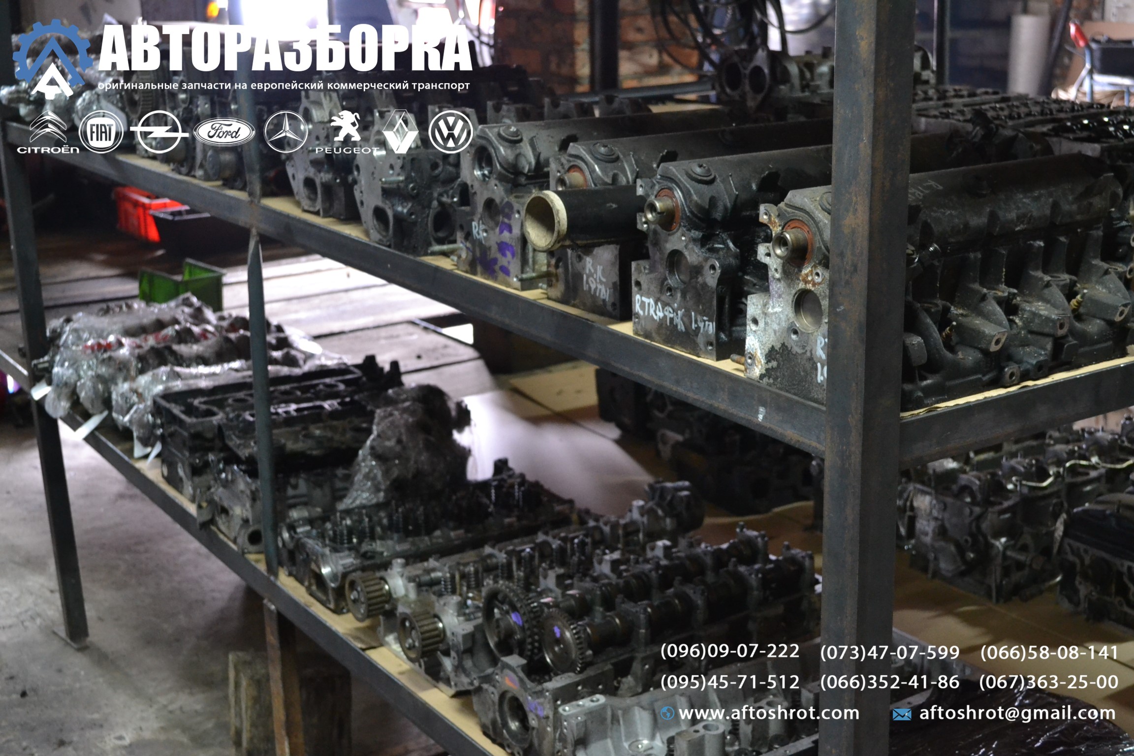 Watermarked 1 11