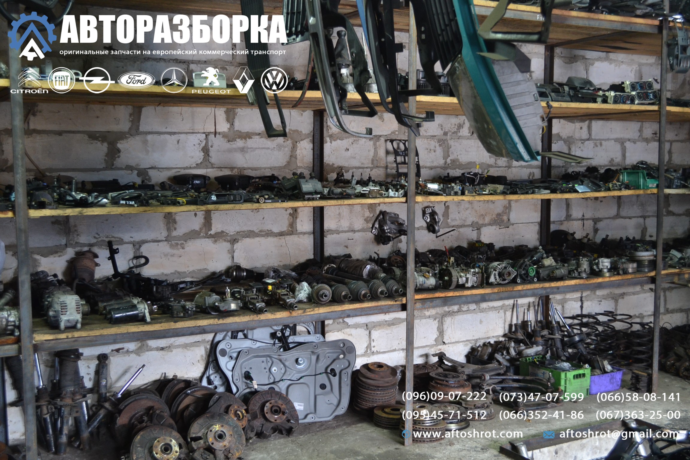 Watermarked 1 17