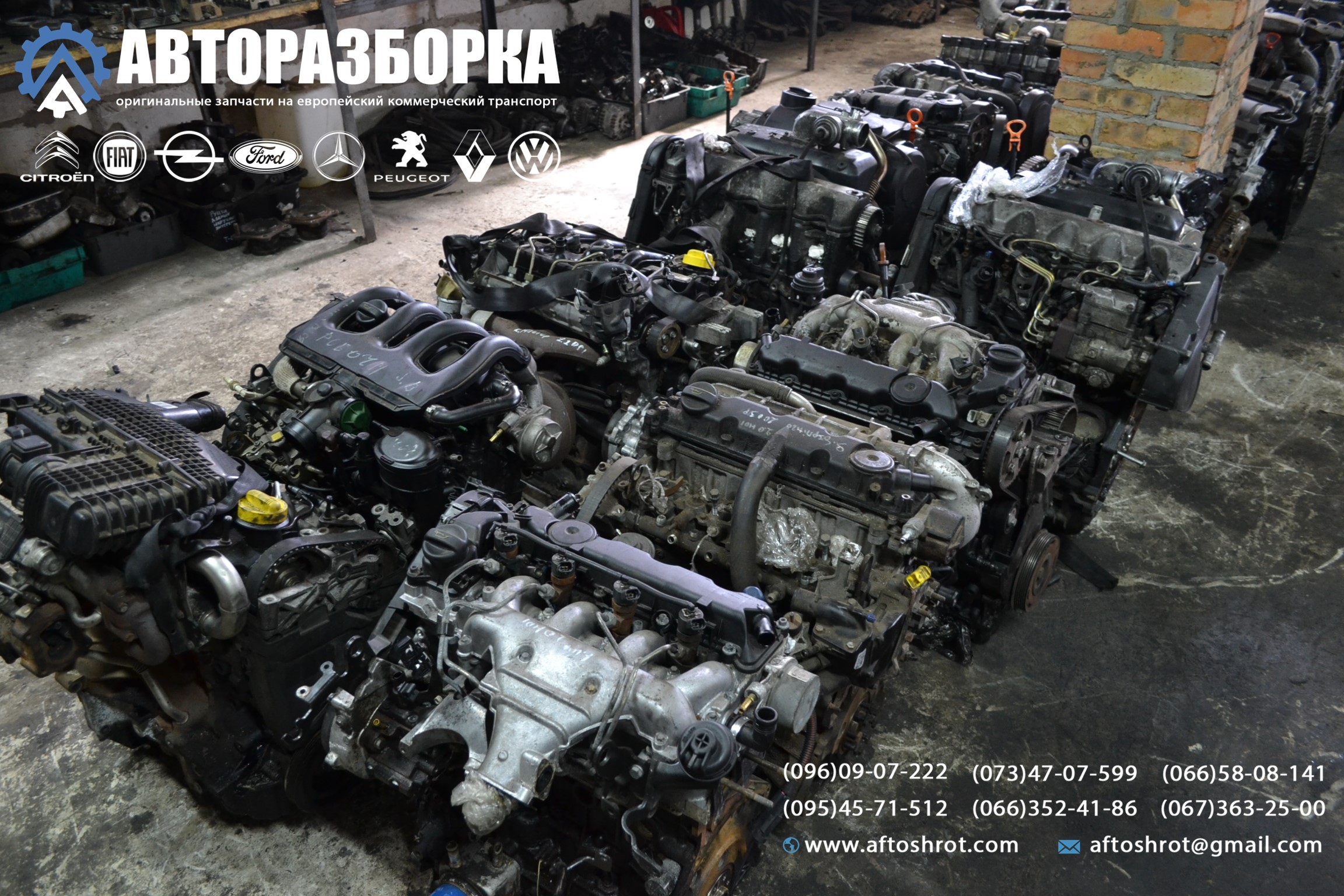 Watermarked 1 25