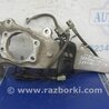 Кулак поворотный Infiniti EX35 (37) (07-12)